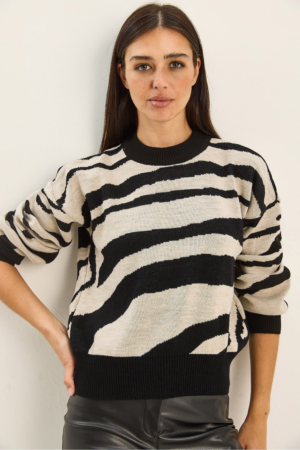 Women's Thick Zebra Patterned Crew Neck Knitwear Sweater 60285007