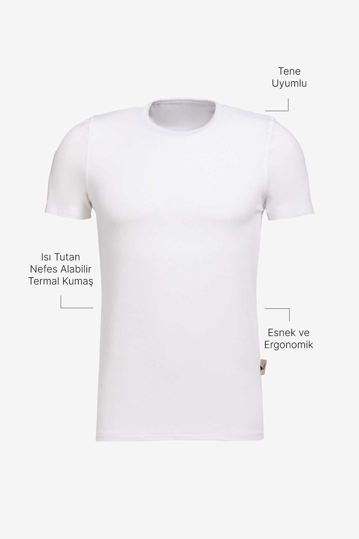 Breathing Flexible thermal Standard Fit Normal Cut Normal Cut Inside T -shirt