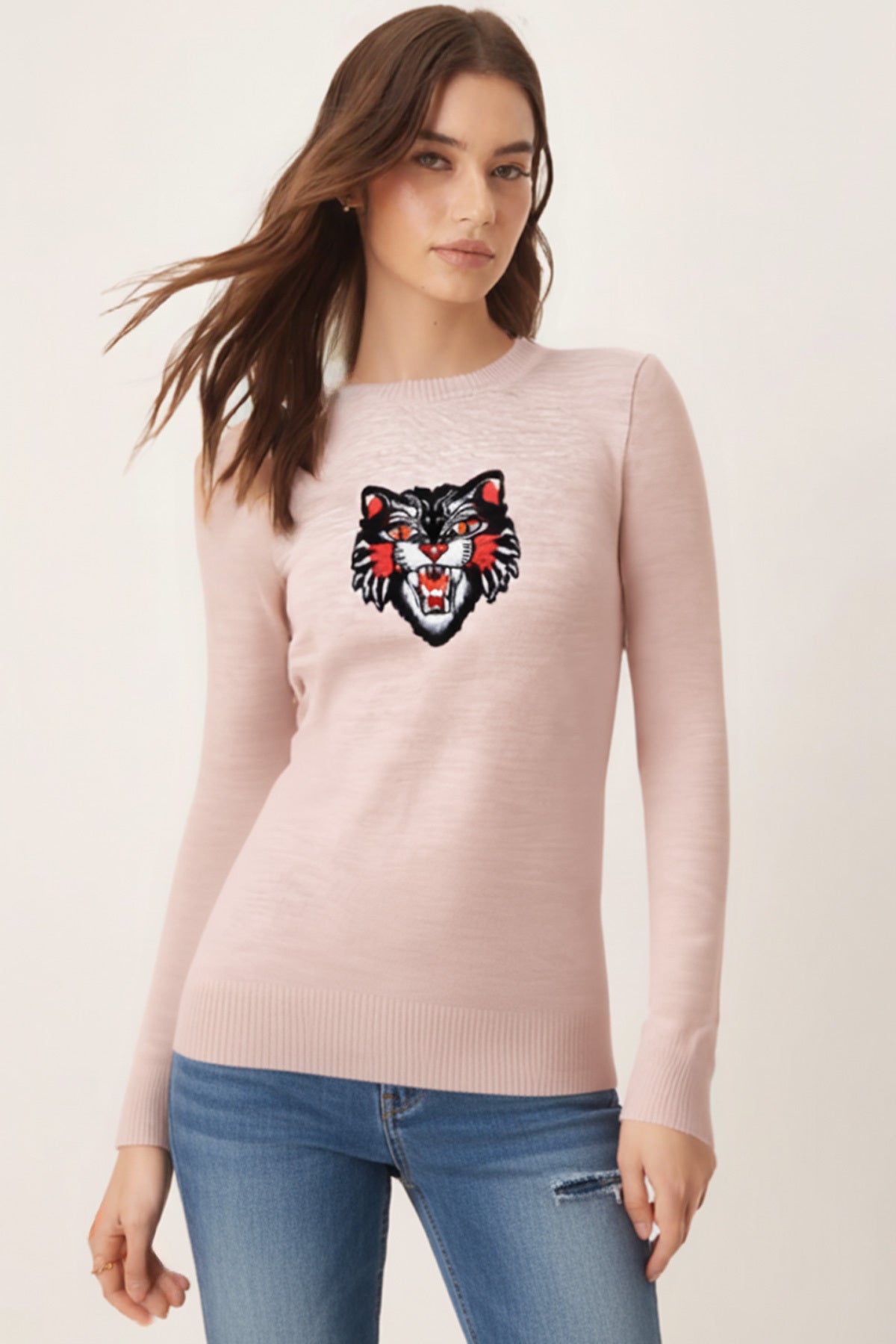 Women's Stone Crew Neck Appliqued Sweater ARM-26K136002