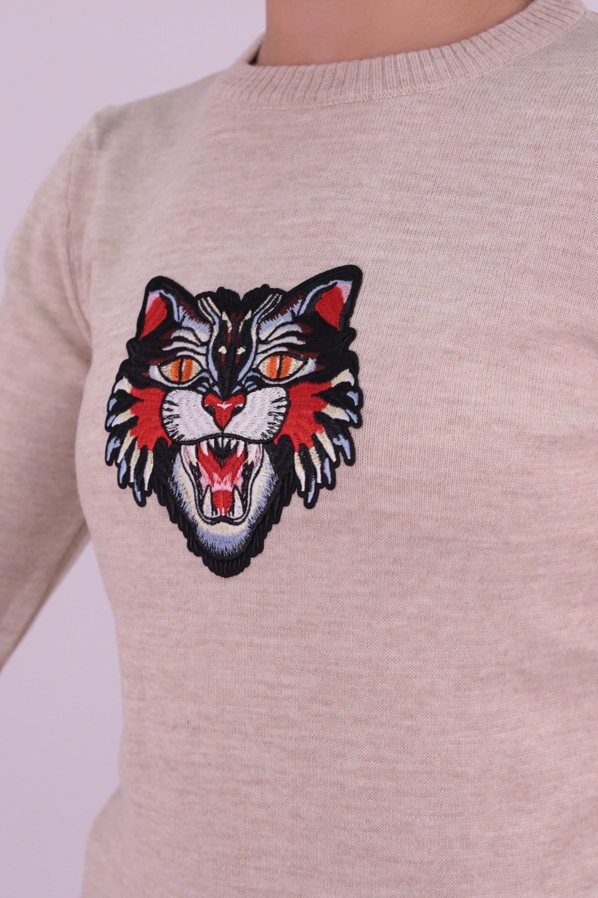 Women's Stone Crew Neck Appliqued Sweater ARM-26K136002