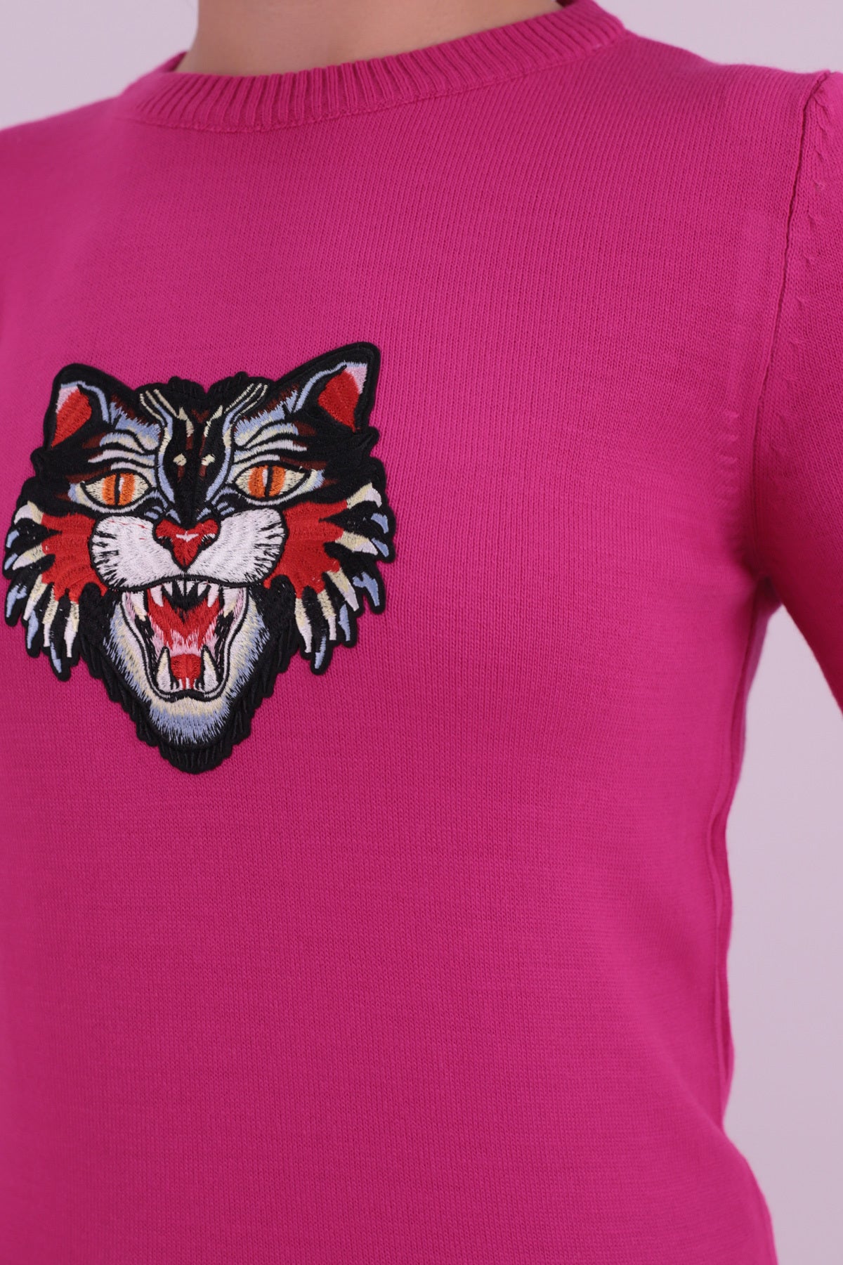 Women's Fuchsia Crew Neck Appliqued Sweater ARM-26K136002