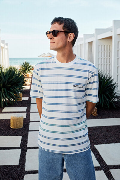 WOODY Men's 100% Cotton Embroidery Detailed Crew Neck Striped Regular Fit White-Blue Striped T-Shirt