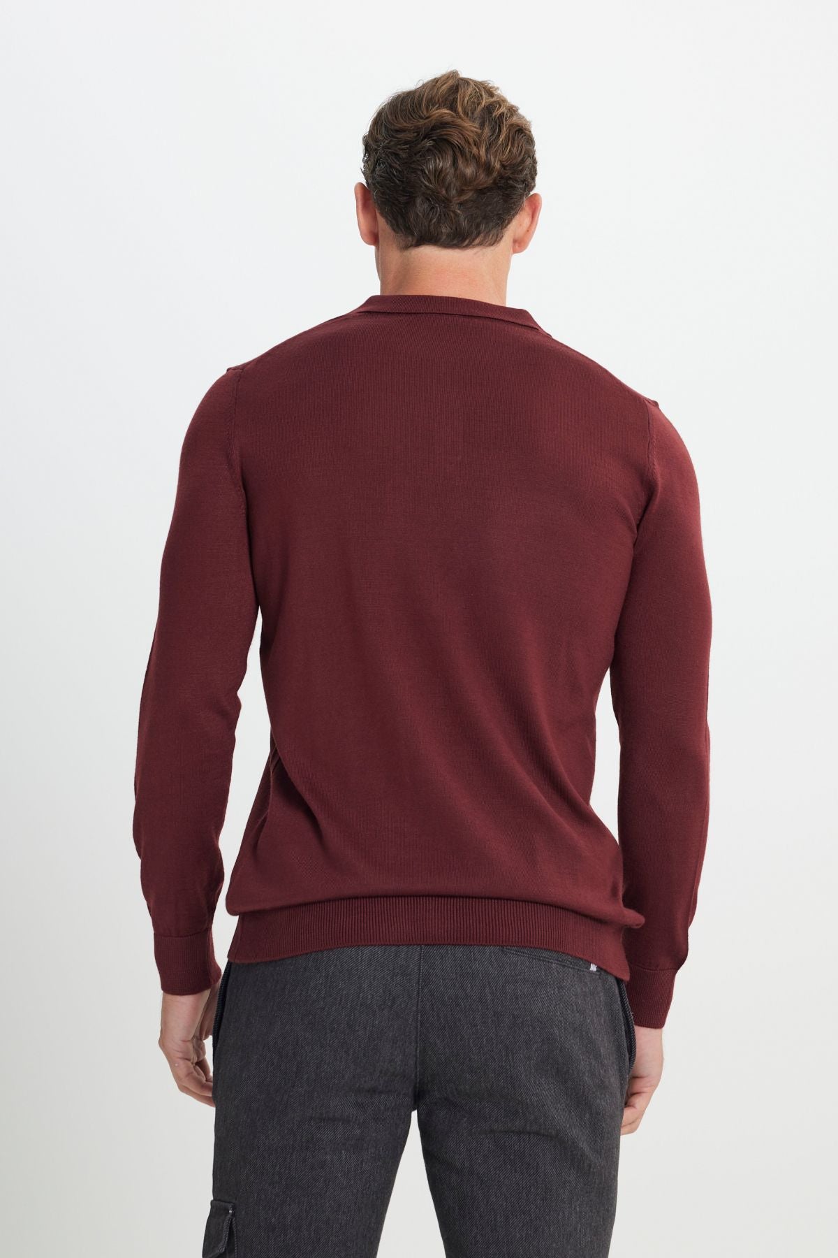 Men's burgundy woolen standard fit normal cut polo collar knitwear sweater