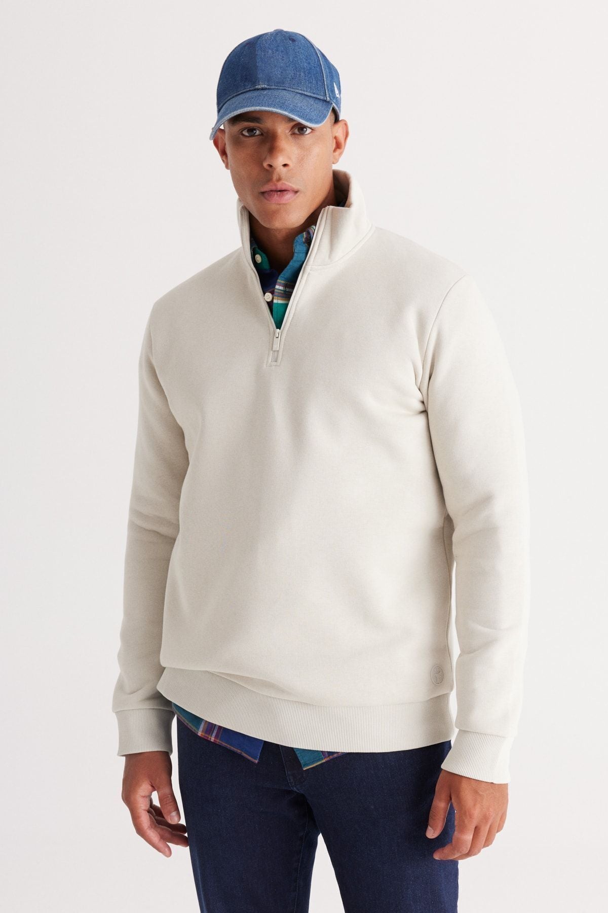 Men's beige flee standard fit Normal cut upright bato collar cotton sweatshirt