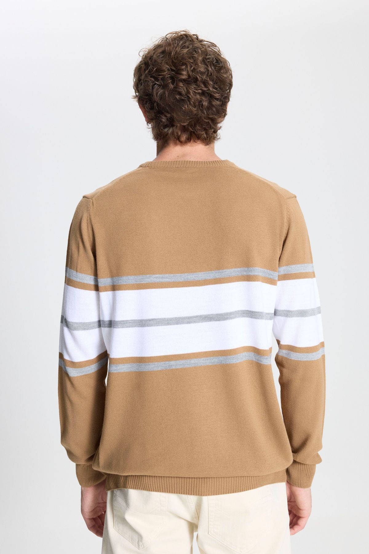 Men's light brown-crem standard fit normal cut normal cut bike collar striped knitwear sweater