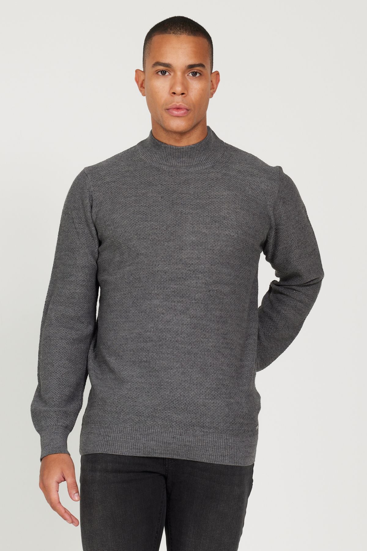 Standard Fit Normal Cut Half Fisherman Neck Jacquard Knitwear Sweater