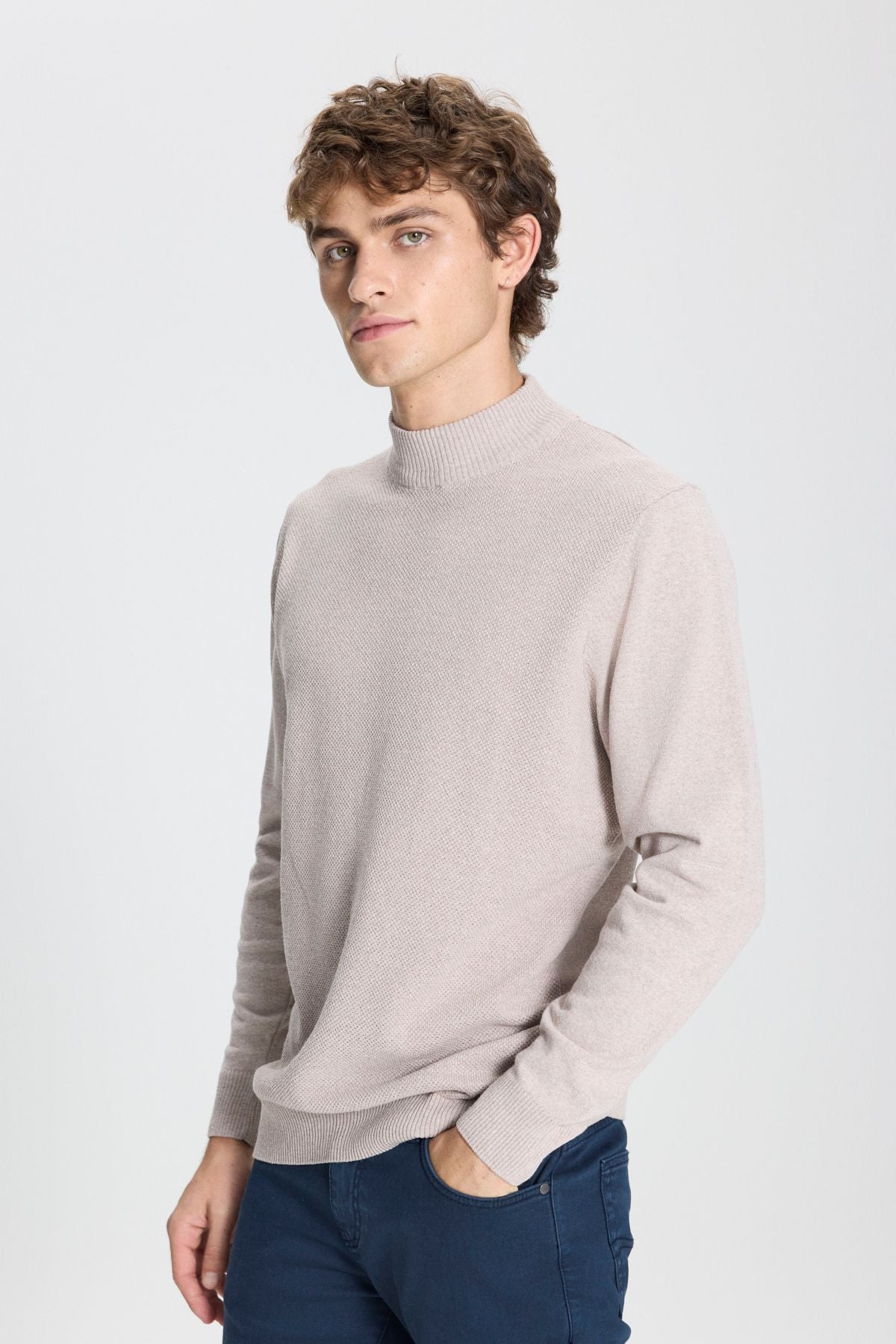 Men's beige standard fit normal cut half fisherman collar cotton knitwear sweater