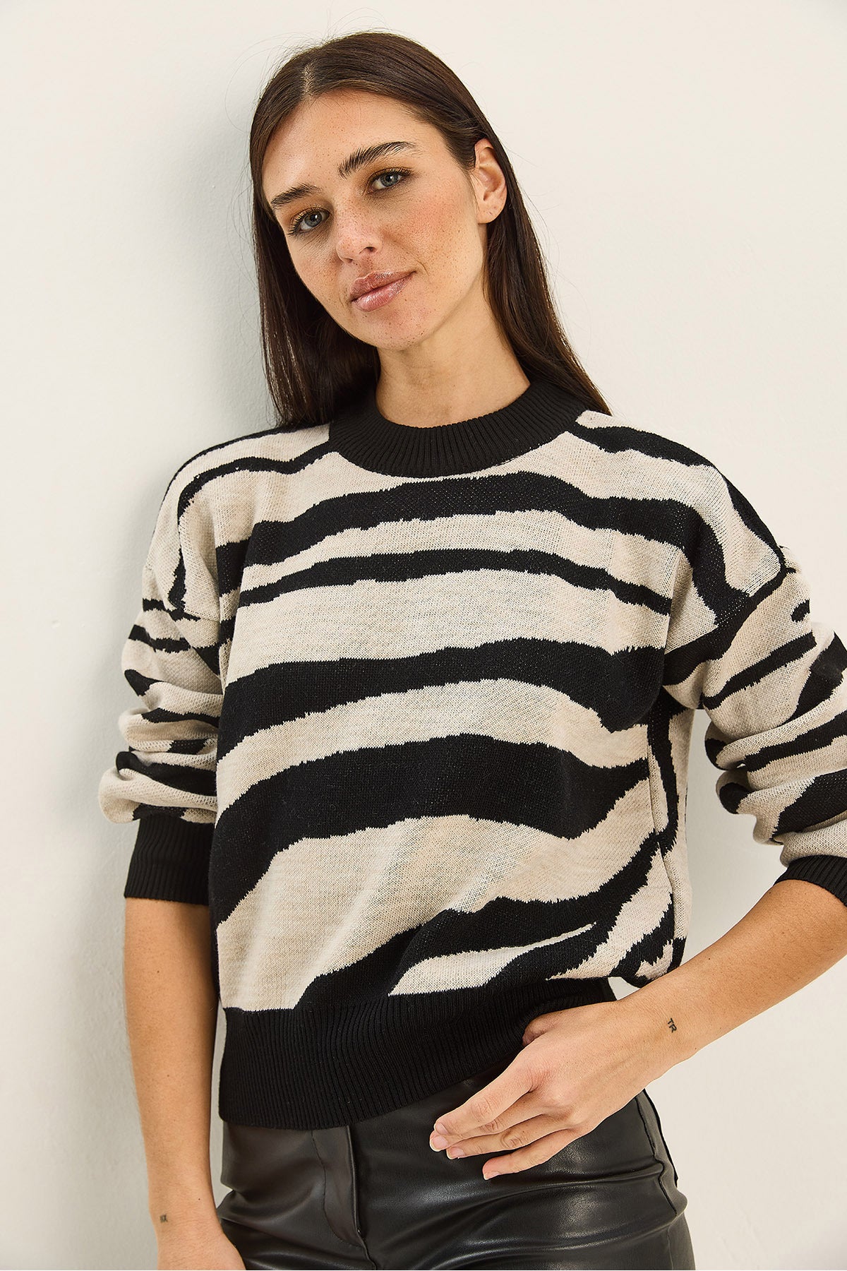 Women's Thick Zebra Patterned Crew Neck Knitwear Sweater 60285007