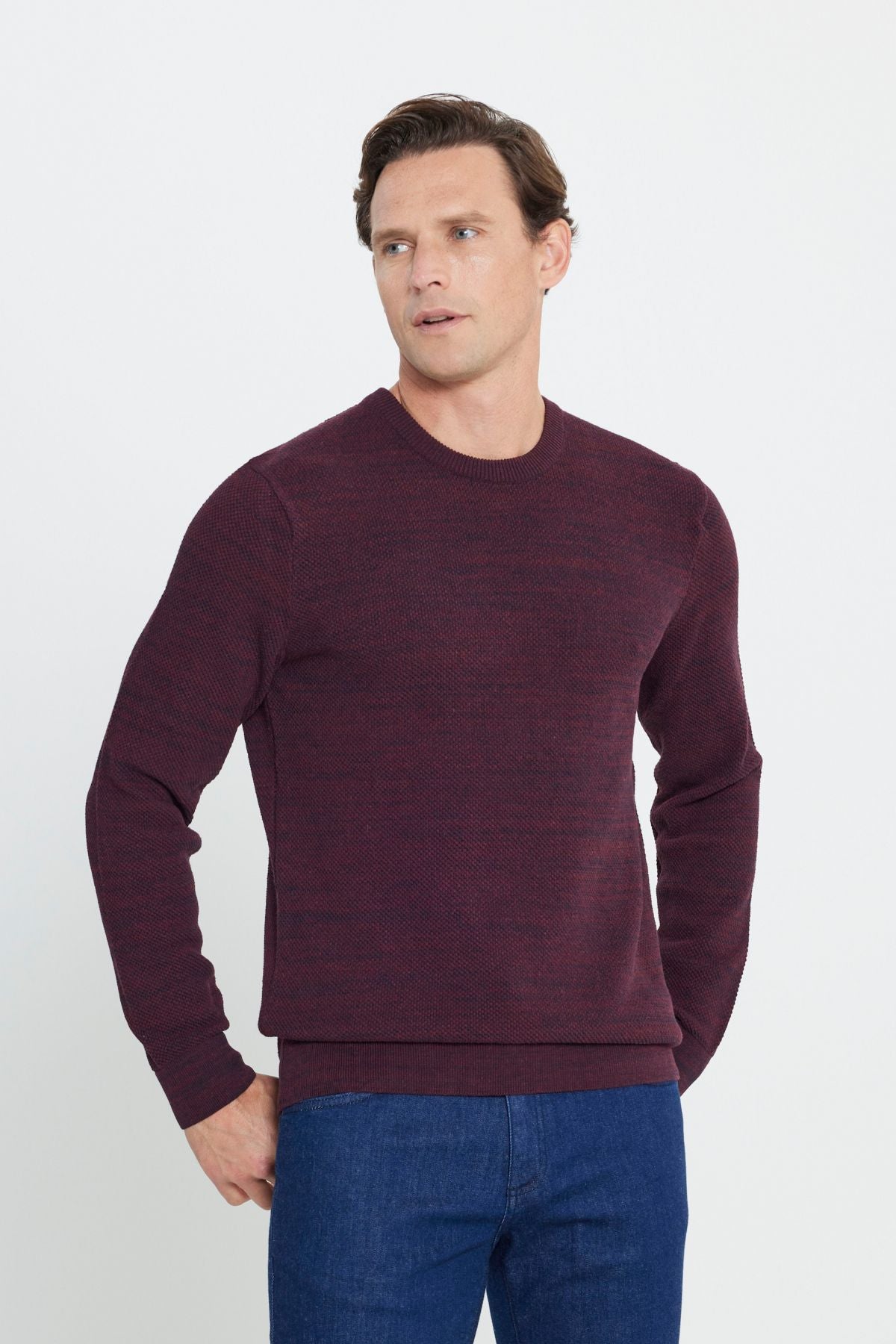 Men's Bordeaux-Lacivert Standard Fit Normal Cut Bike Bike Patterned Knitwear Sweater