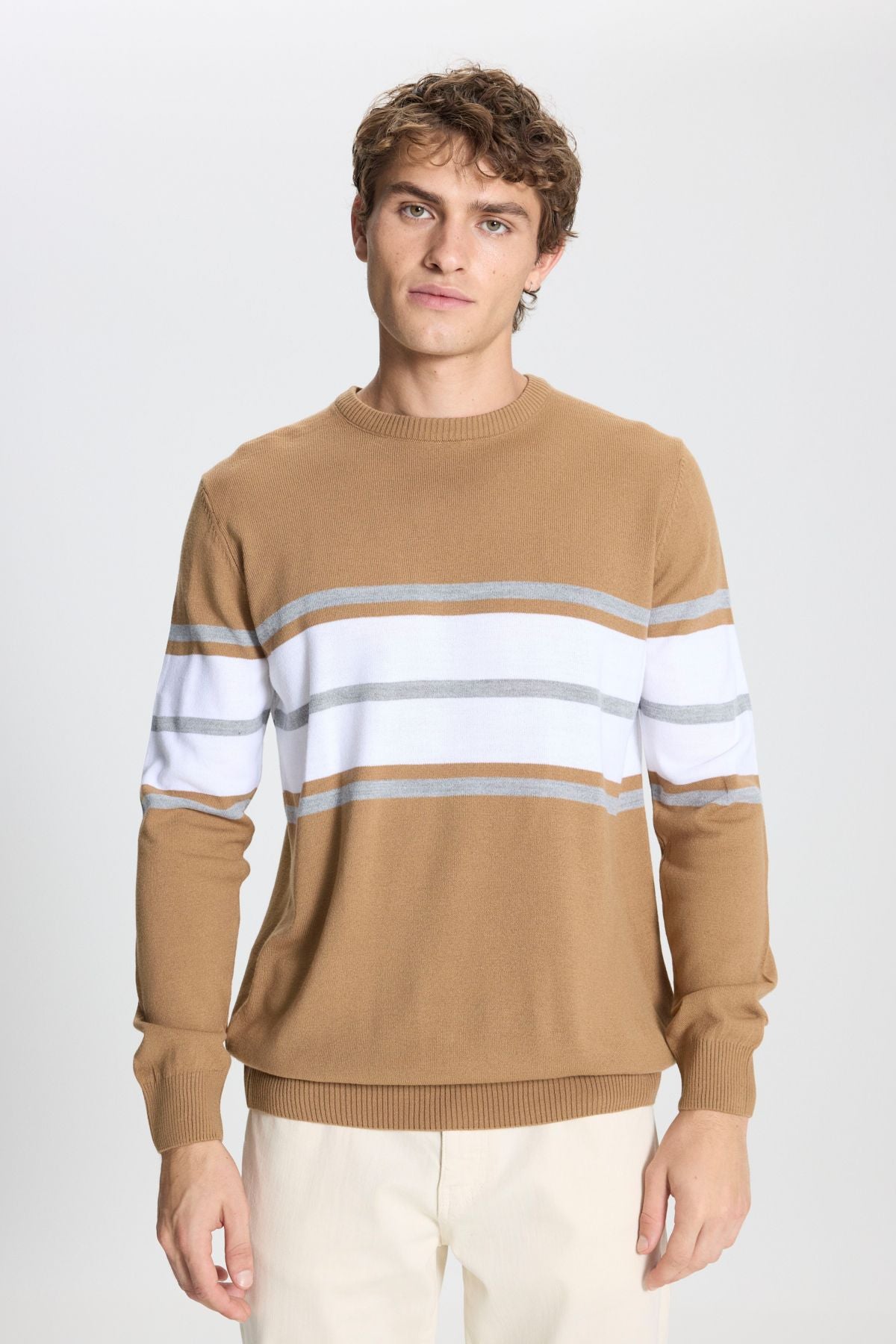 Men's light brown-crem standard fit normal cut normal cut bike collar striped knitwear sweater