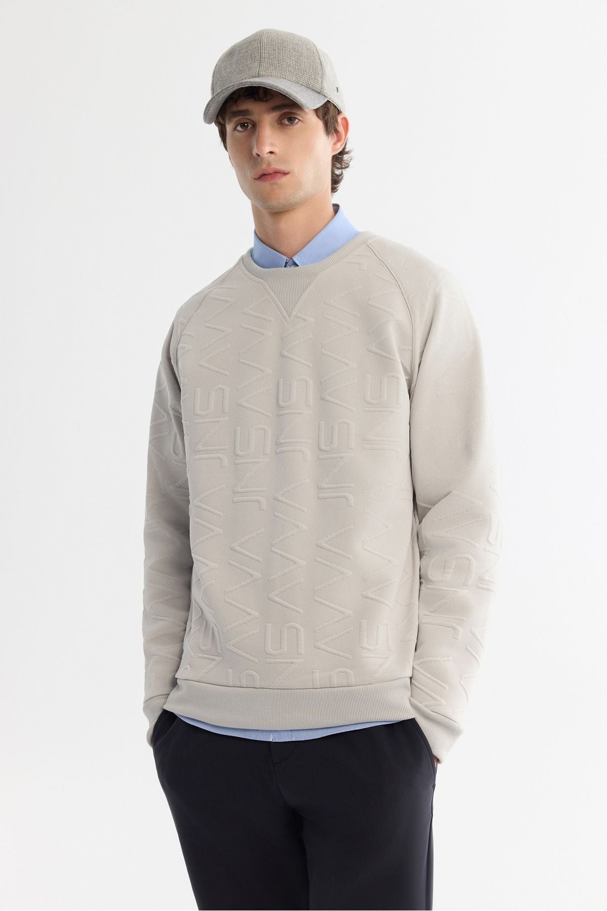 Men's Gray Bicycle Collar Printed Sweatshirt A42y1335