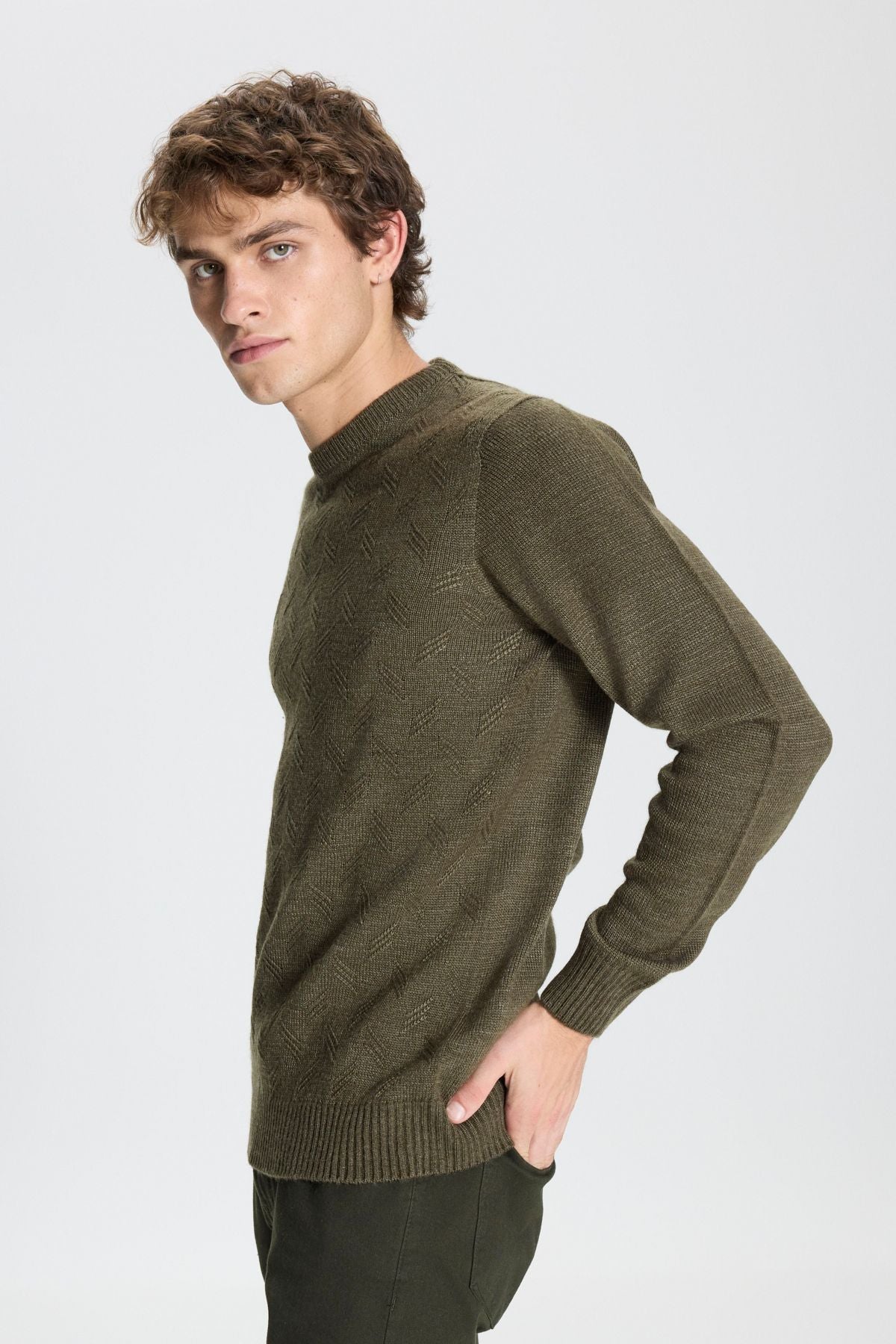 Men's Khaki Standard Fit Normal Cut Bicycle Yaka Jacquard Knitwear Sweater