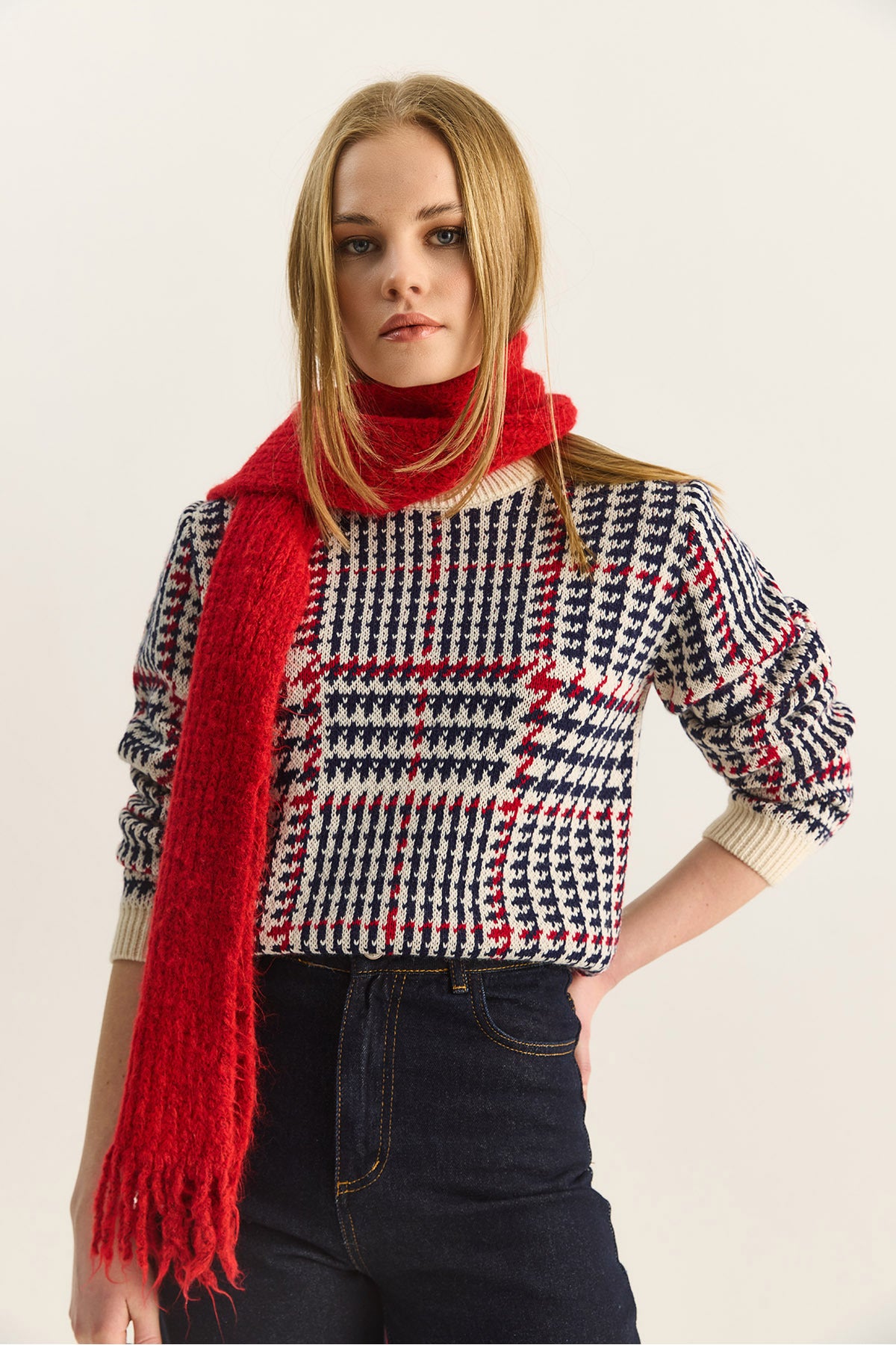 Women's Crew Neck Houndstooth Patterned Knitwear Sweater 20251122