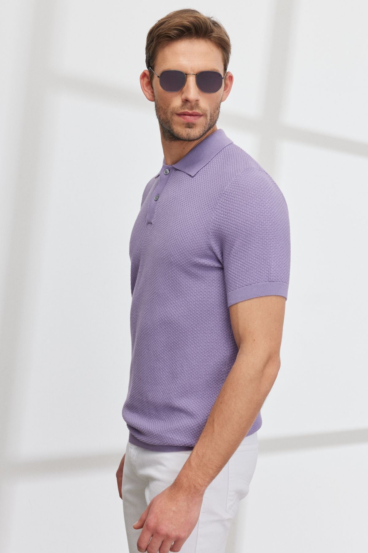 Men's lilac Standard Fit Normal Cut Polo Yaka 100 %Cotton Short Sleeve Knitwear T -shirt