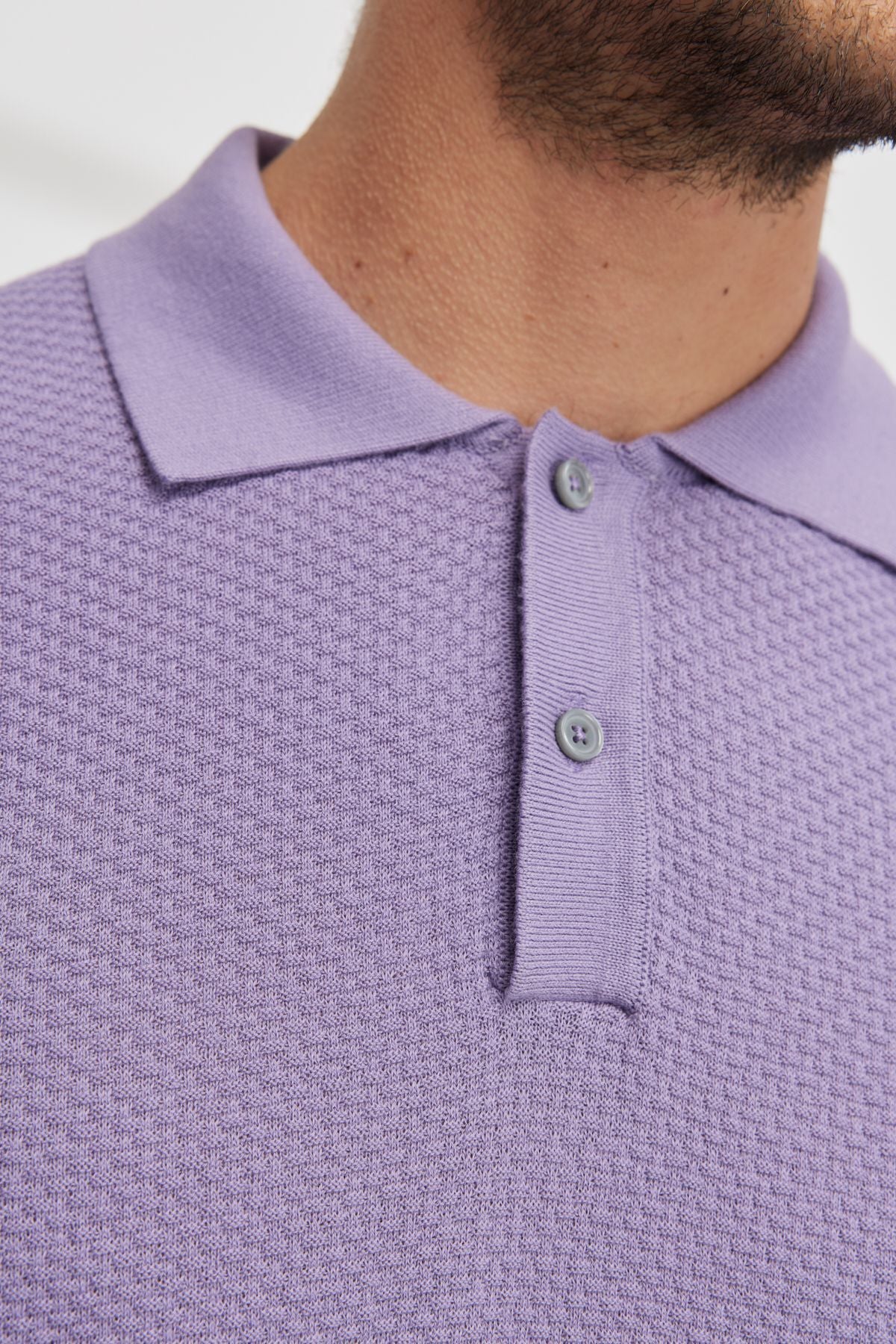 Men's lilac Standard Fit Normal Cut Polo Yaka 100 %Cotton Short Sleeve Knitwear T -shirt