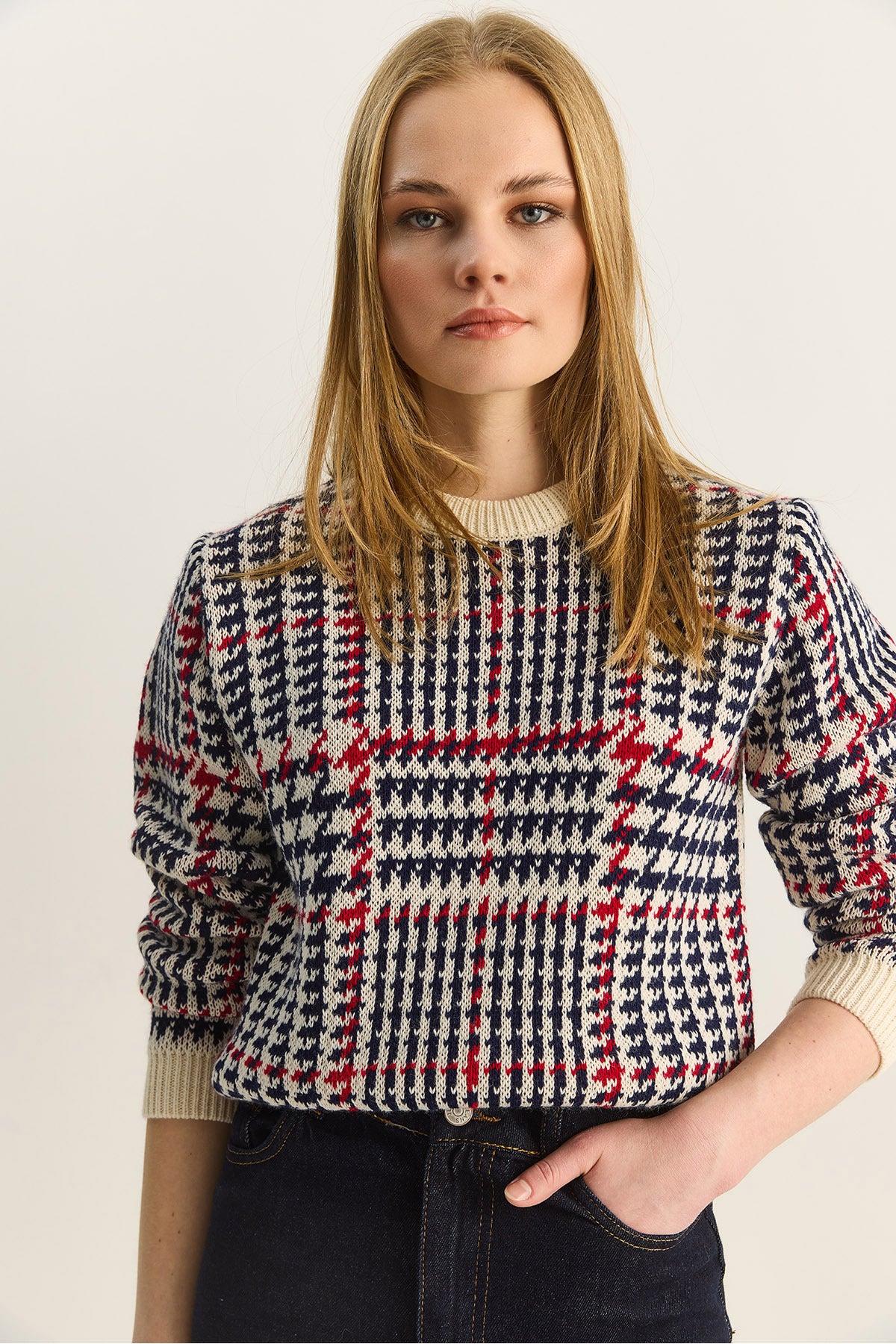 Women's Crew Neck Houndstooth Patterned Knitwear Sweater 20251122