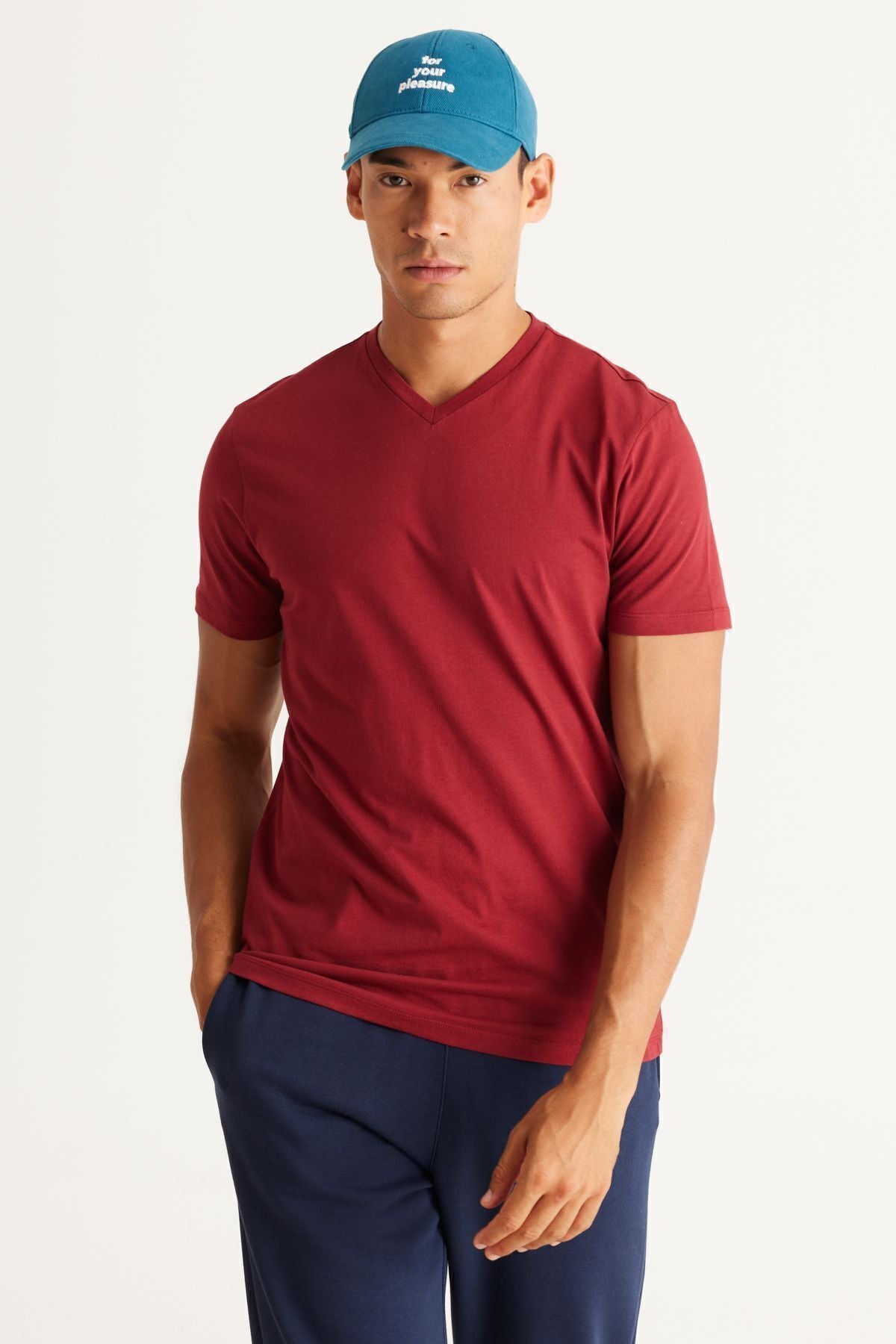 Men's Bordeaux-Lacivert 2 V-neck 100 %cotton slim fit narrow cut Basic T-shirt