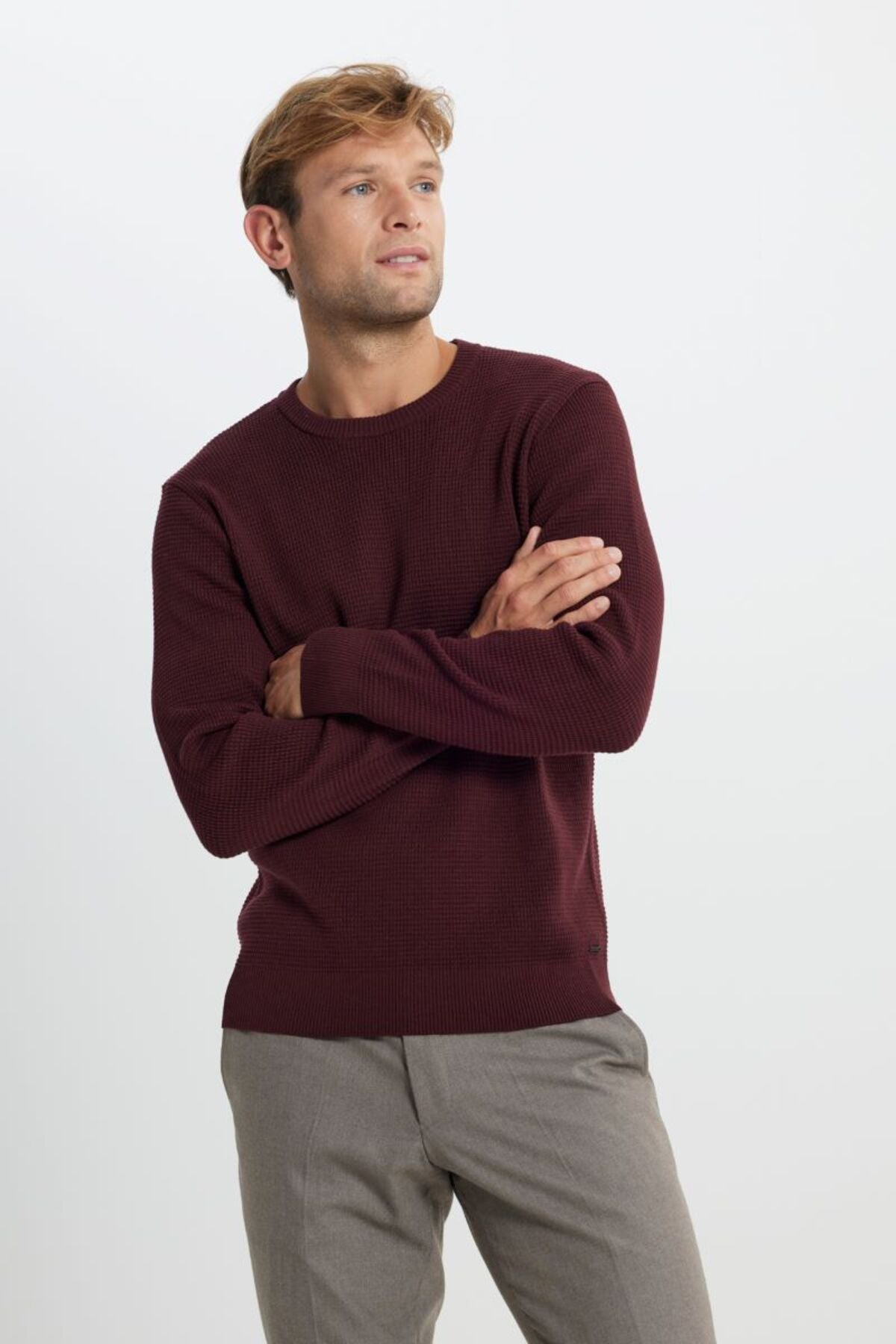 Cotton Standard Fit Normal Cut Cycling Cycling Honeycomb textured knitwear burgundy sweater