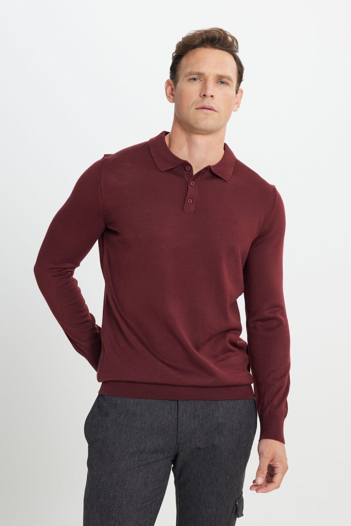 Men's burgundy woolen standard fit normal cut polo collar knitwear sweater
