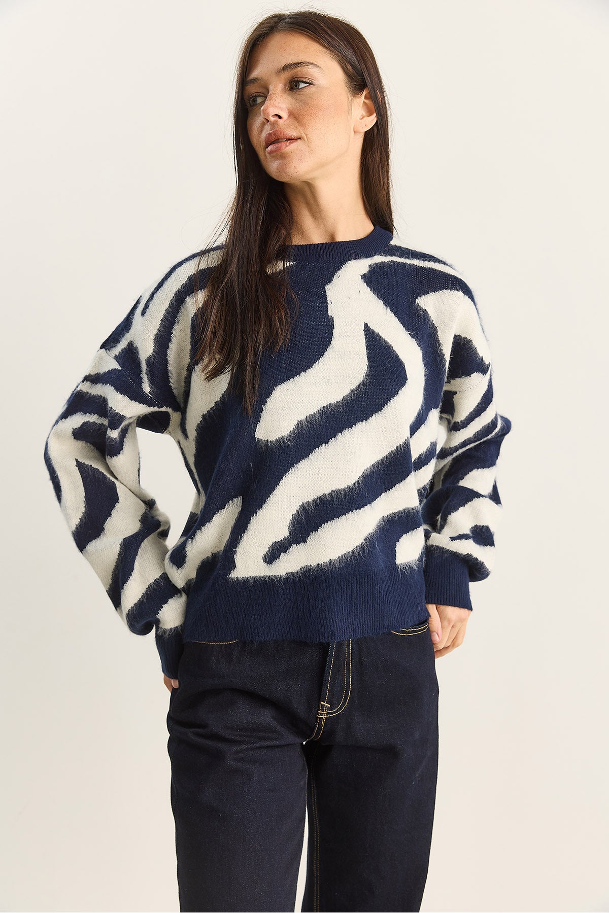 Women's Thick Zebra Patterned Crew Neck Ribbed Knitwear Sweater 60285006