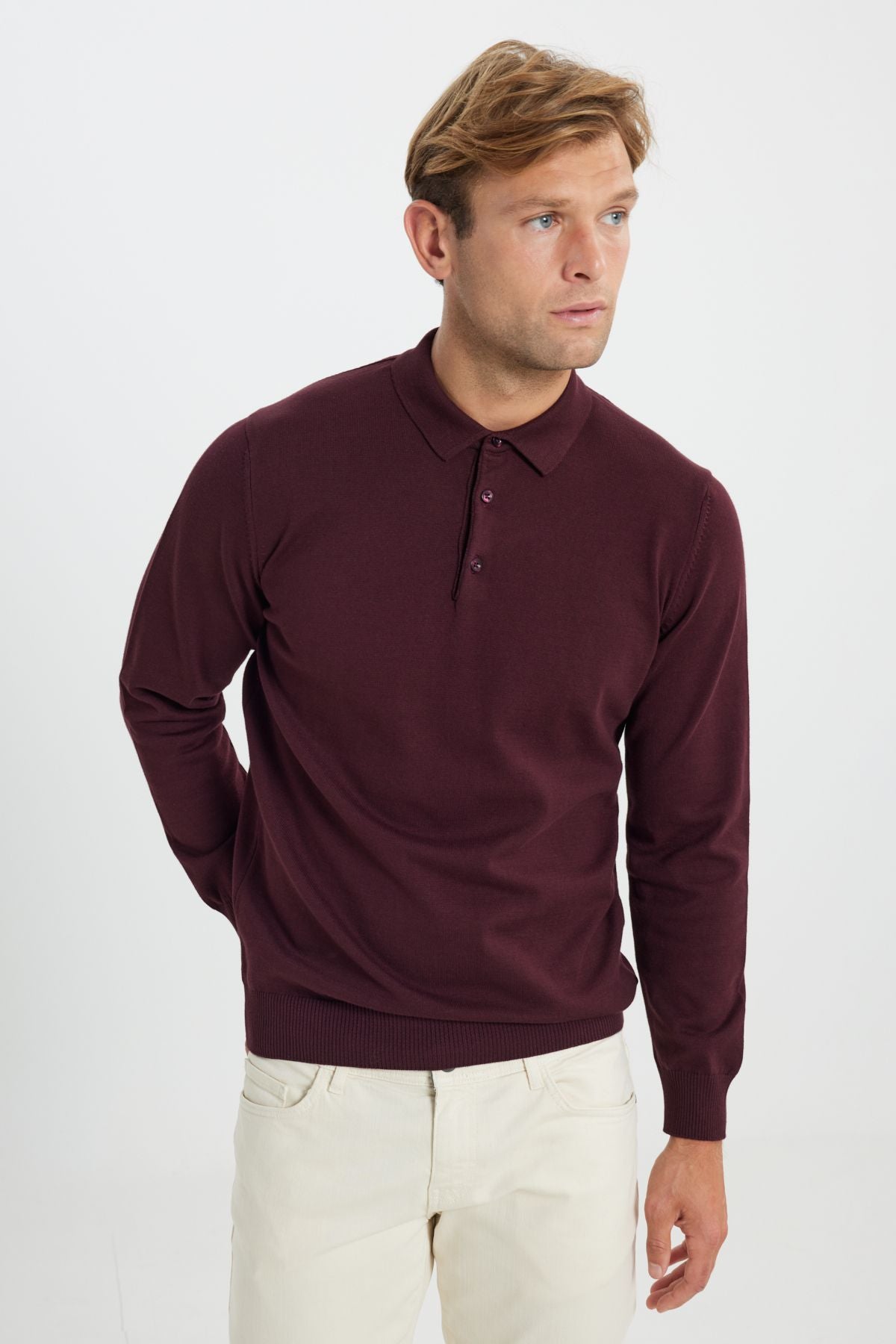 Men's Bordeaux Cotton Standard Fit Normal Cut Polico Sweater