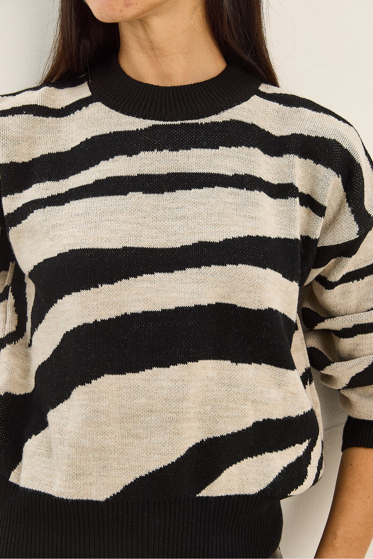 Women's Thick Zebra Patterned Crew Neck Knitwear Sweater 60285007