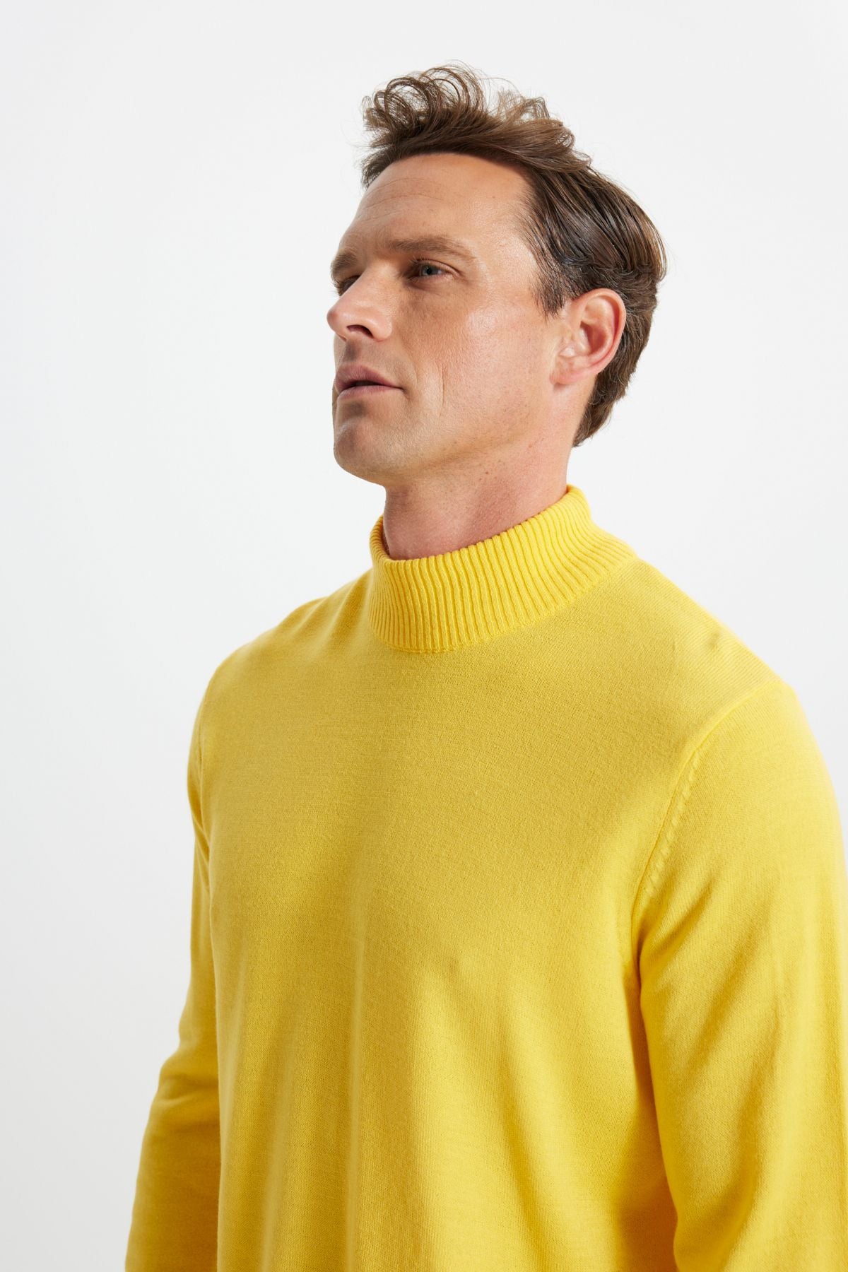 Men's yellow hair growth standard fit normal cut half fisherman collar knitwear sweater