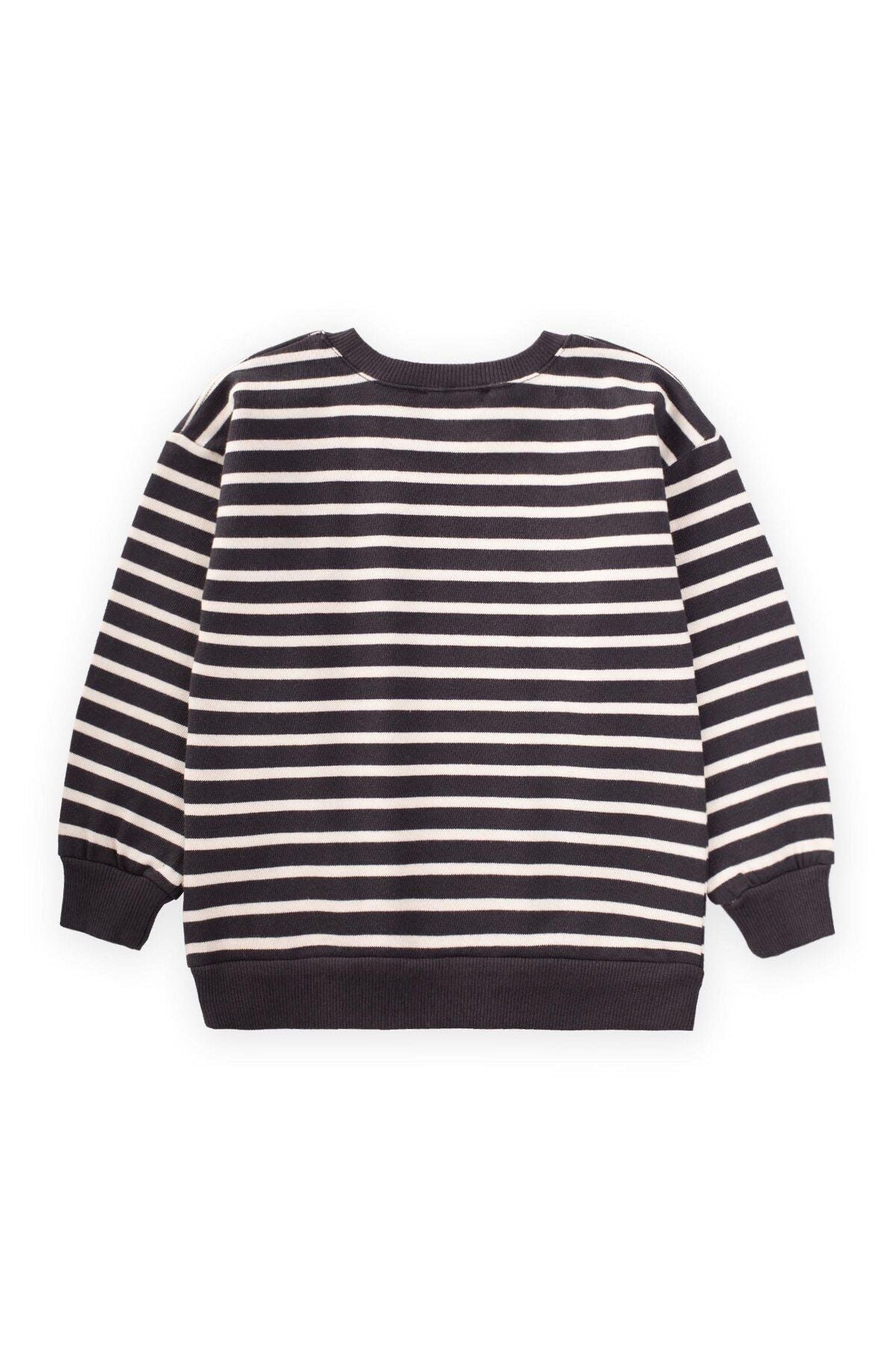 Striped knitwear sweatshirt 2-14 age anthracite