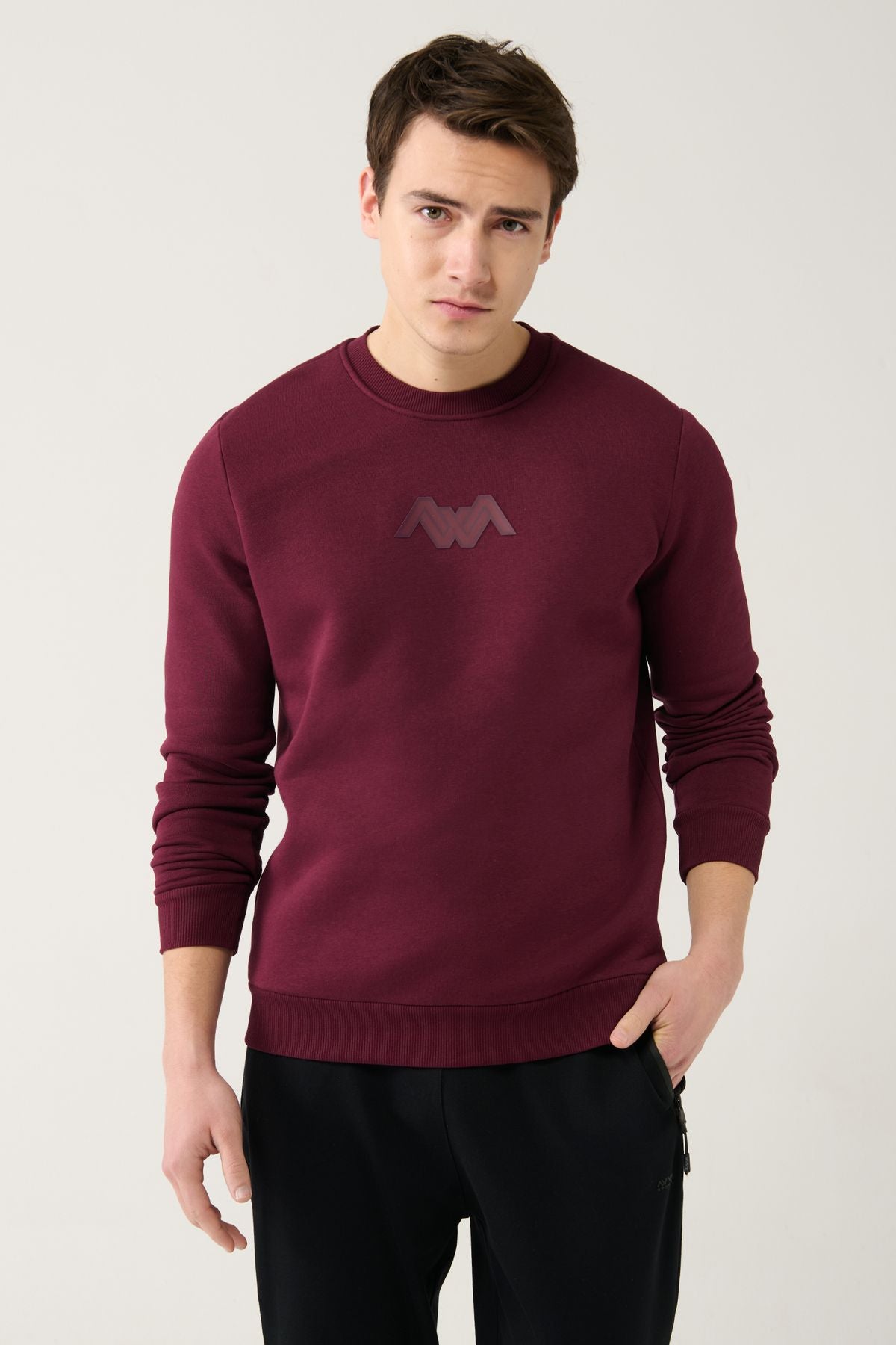 Men's Bordeaux Bicycle Collar 3 IP -Swear Printed Sweatshirt A32y1273