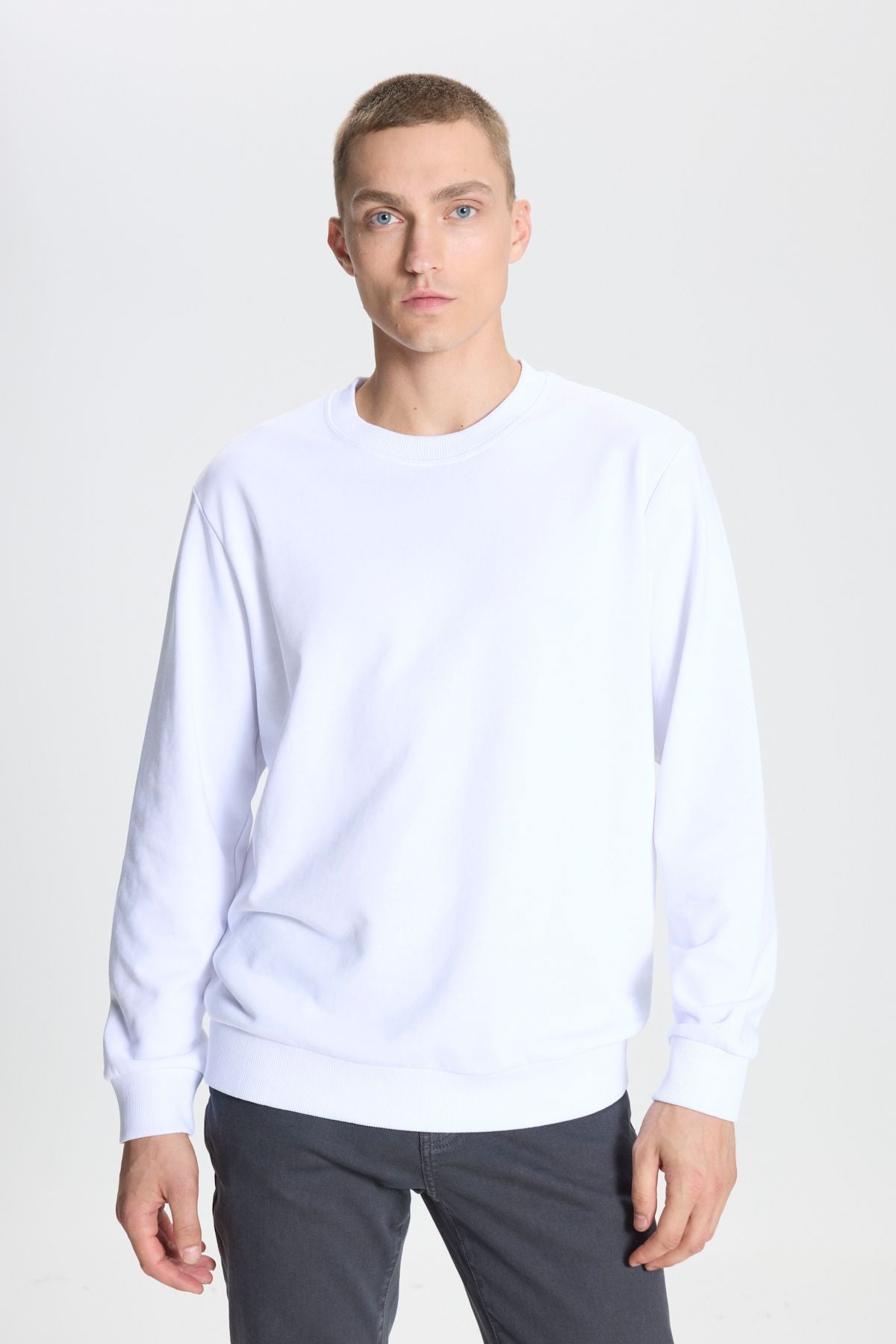 Men's White Standard Fit Normal Normal Cut Bike Cyprus 3 IP Cotton Sweatshirt