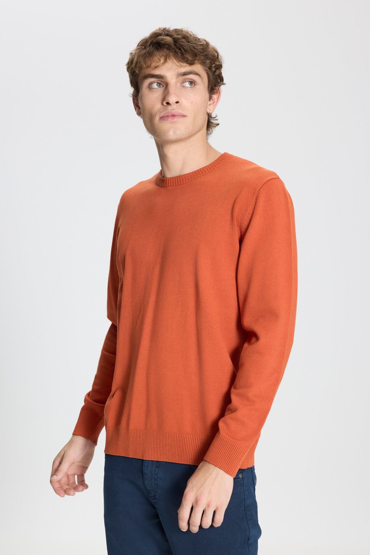 Men's Tile Standard Fit Normal Cut Bicycle Celiko Sweater