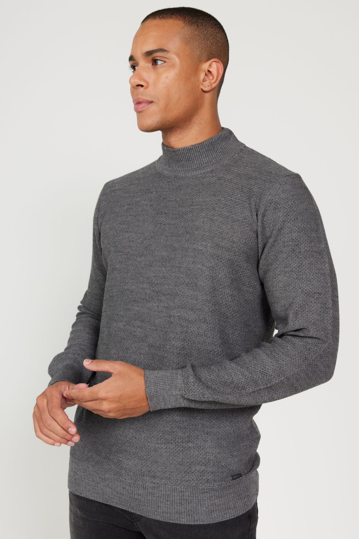 Standard Fit Normal Cut Half Fisherman Neck Jacquard Knitwear Sweater