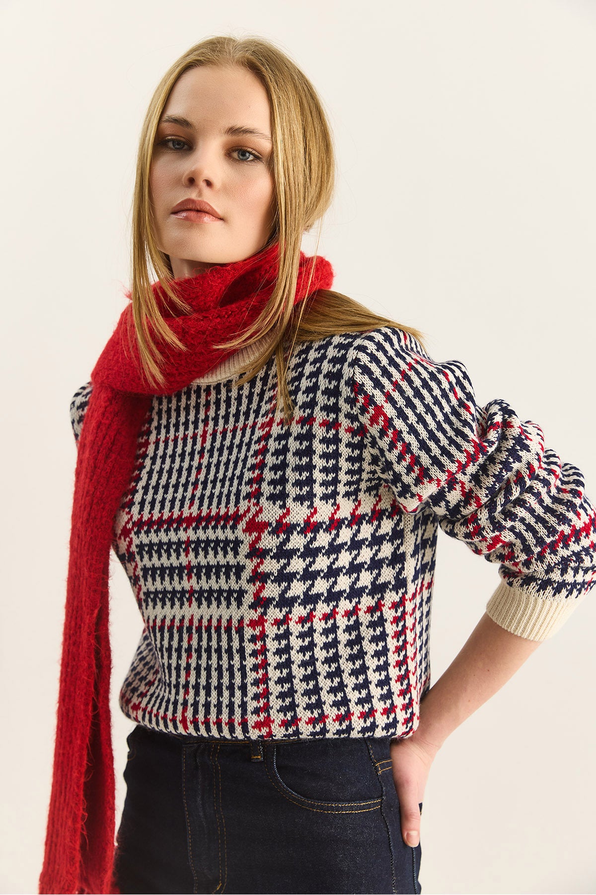 Women's Crew Neck Houndstooth Patterned Knitwear Sweater 20251122