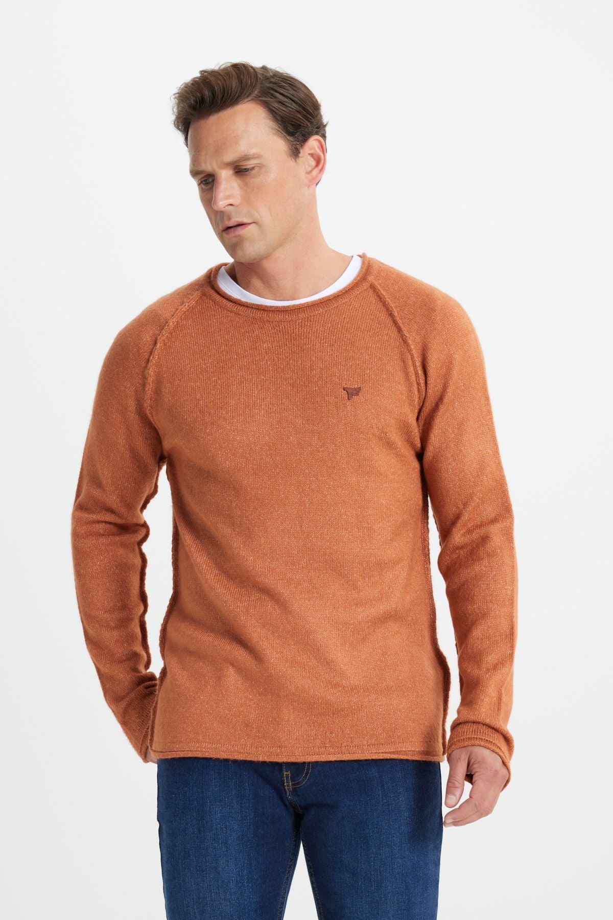 Men's Cinnamon Standard Fit Normal Cut Bicycle Collar Soft textured knitwear sweater