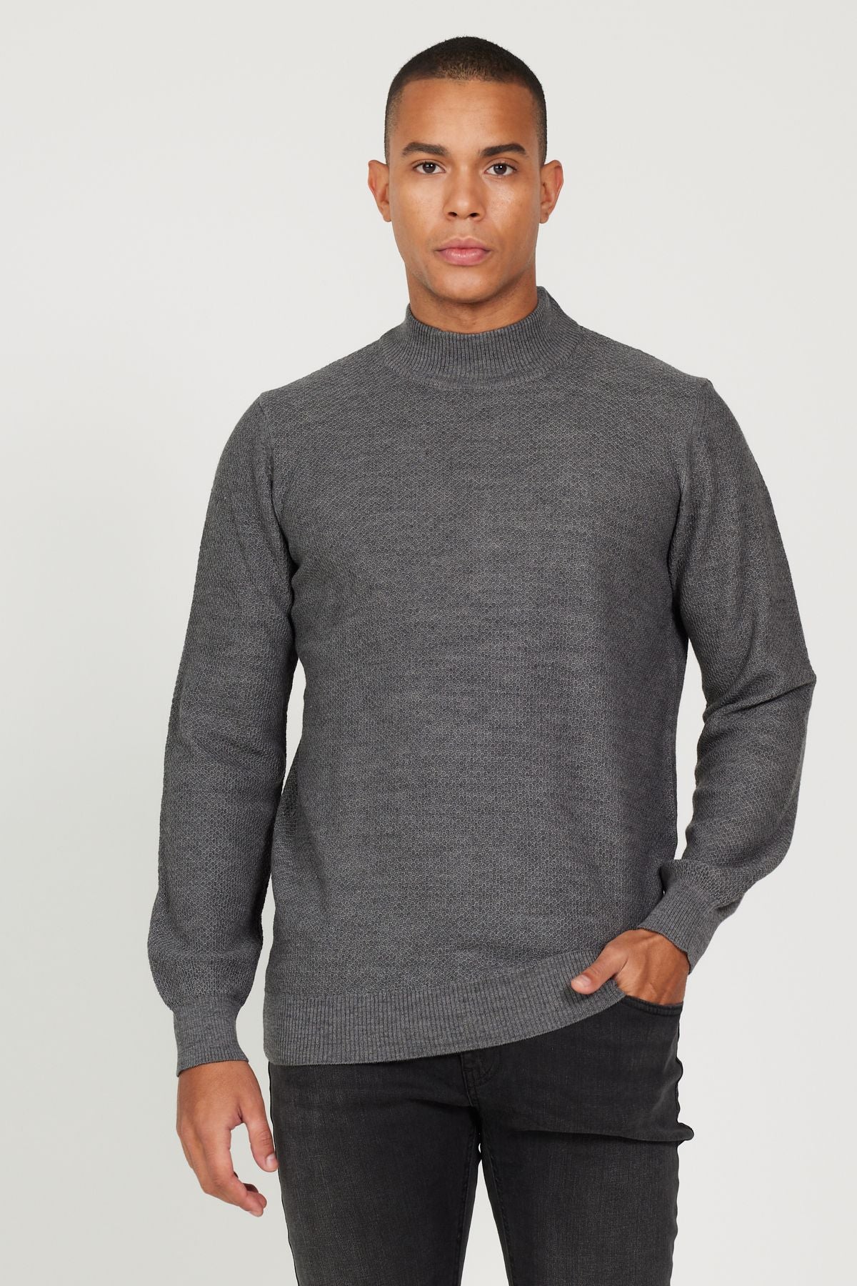 Standard Fit Normal Cut Half Fisherman Neck Jacquard Knitwear Sweater