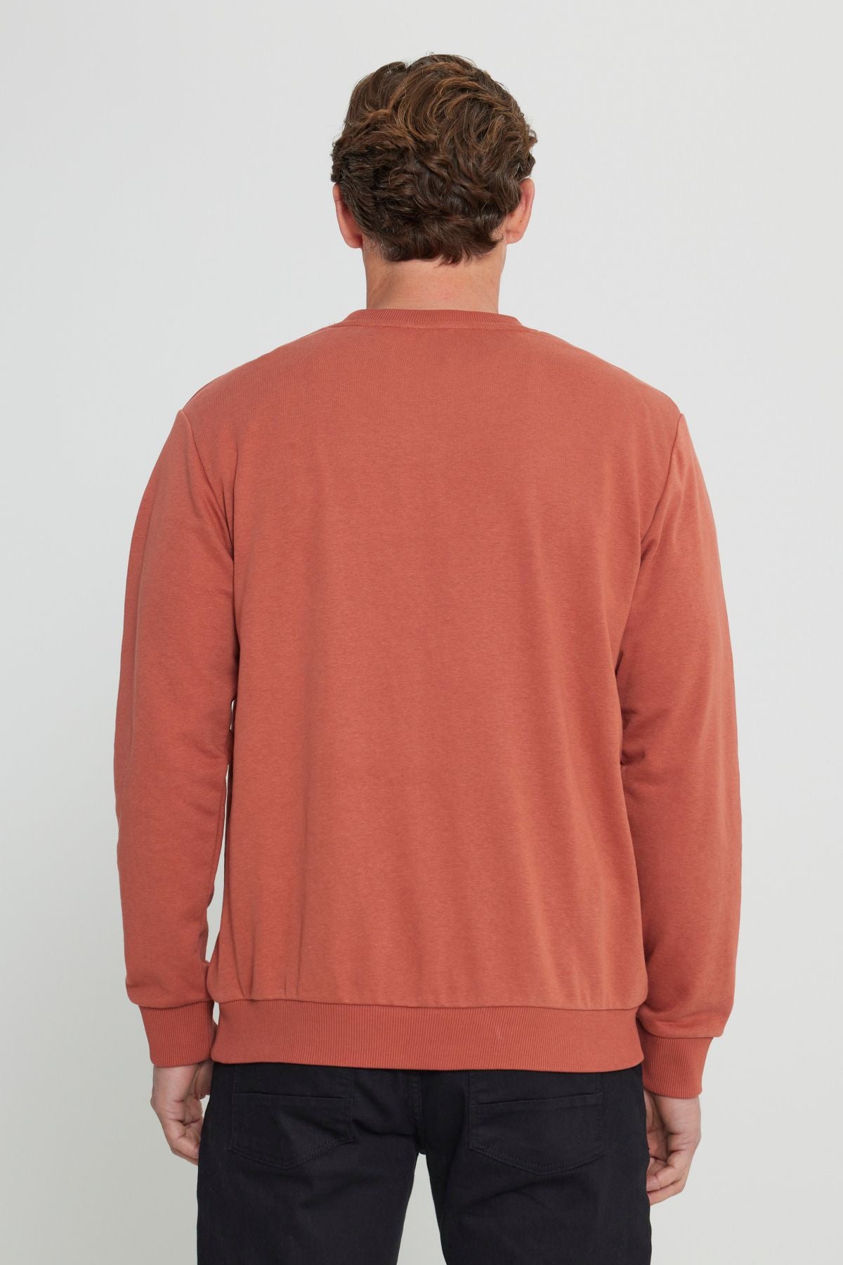 Men's Light Coffee Standard Fit Normal Cut Normal Class Bike 3 IP Cotton Sweatshirt