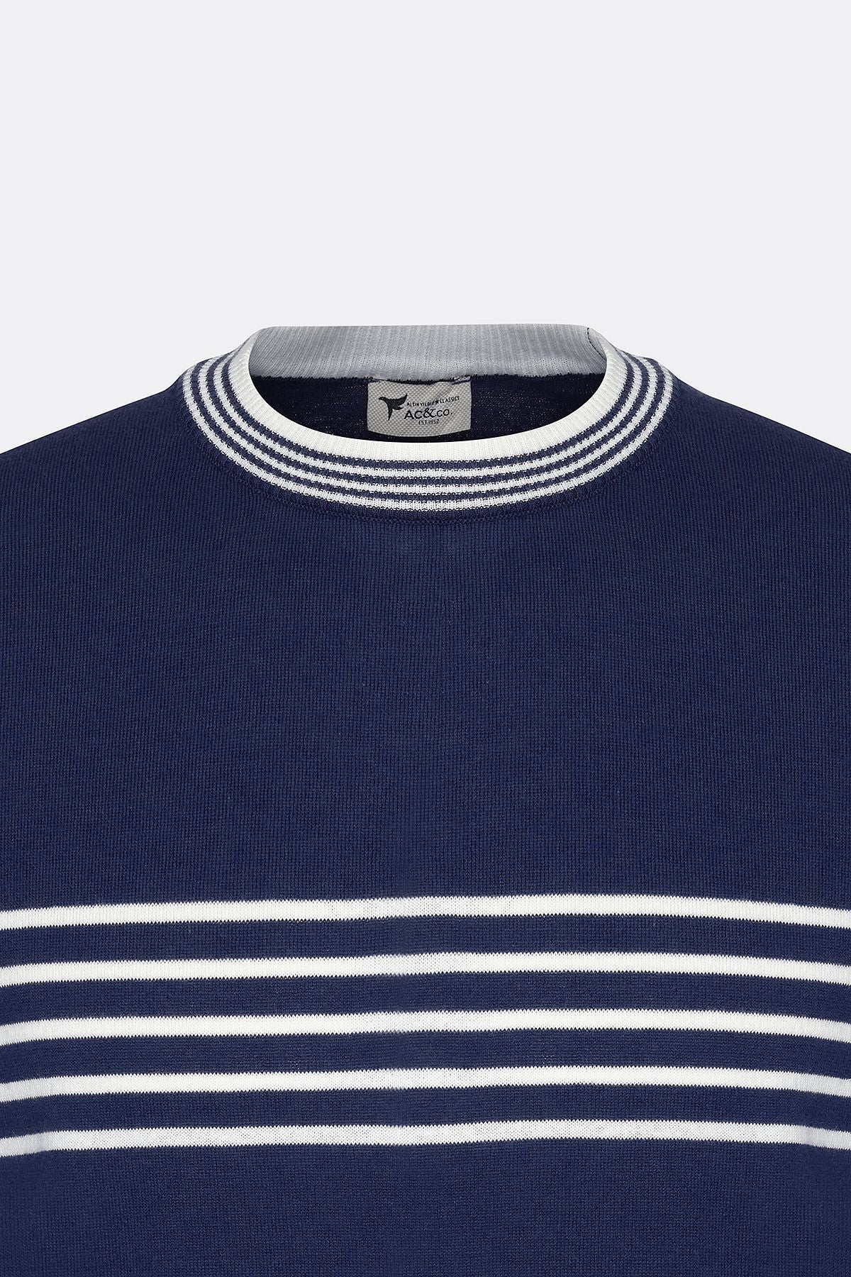 Men's Navy Blue-White Standard Fit Normal Normal Cut 100 %Cotton Striped Bicycle Yaka Triko T-shirt