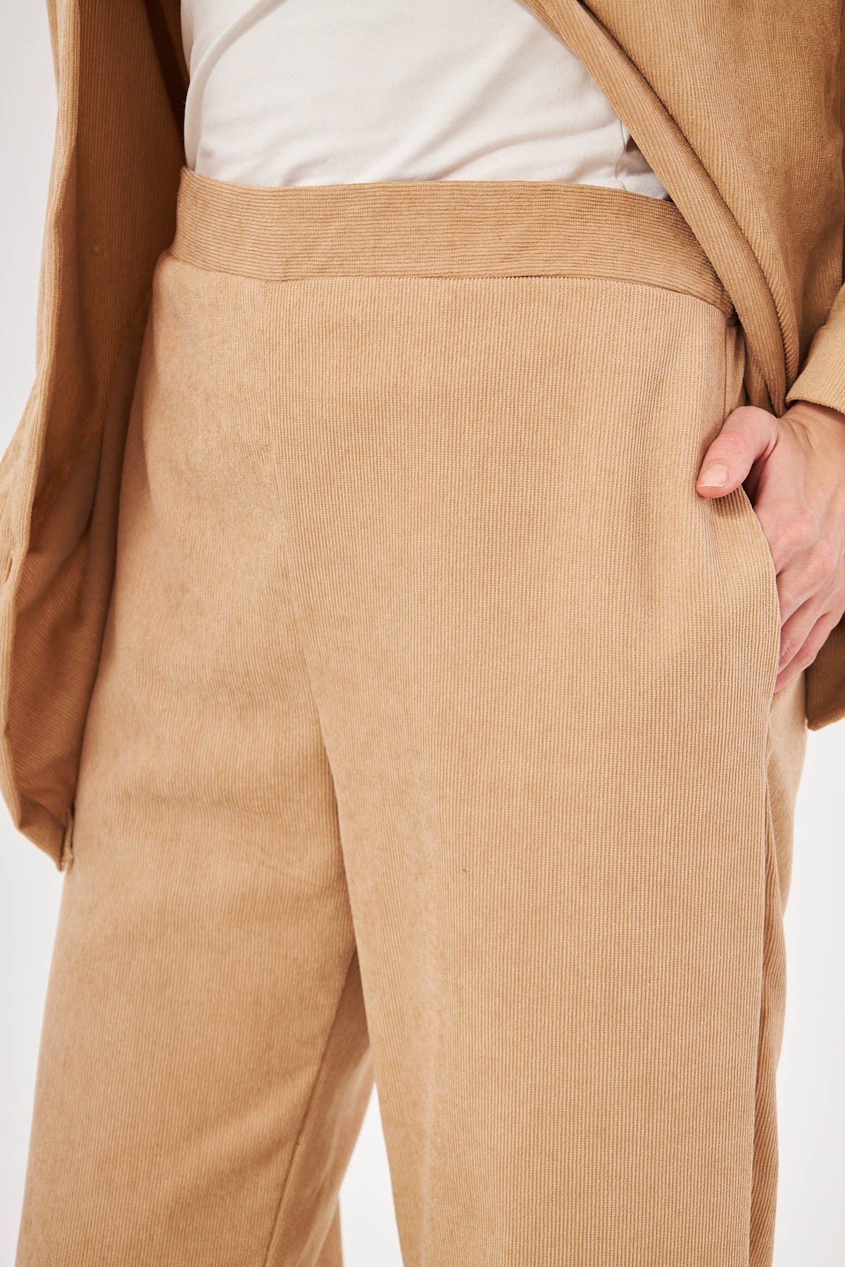 Female Beige Fine Wick Velvet Palazzo Pants Arm-25k001009