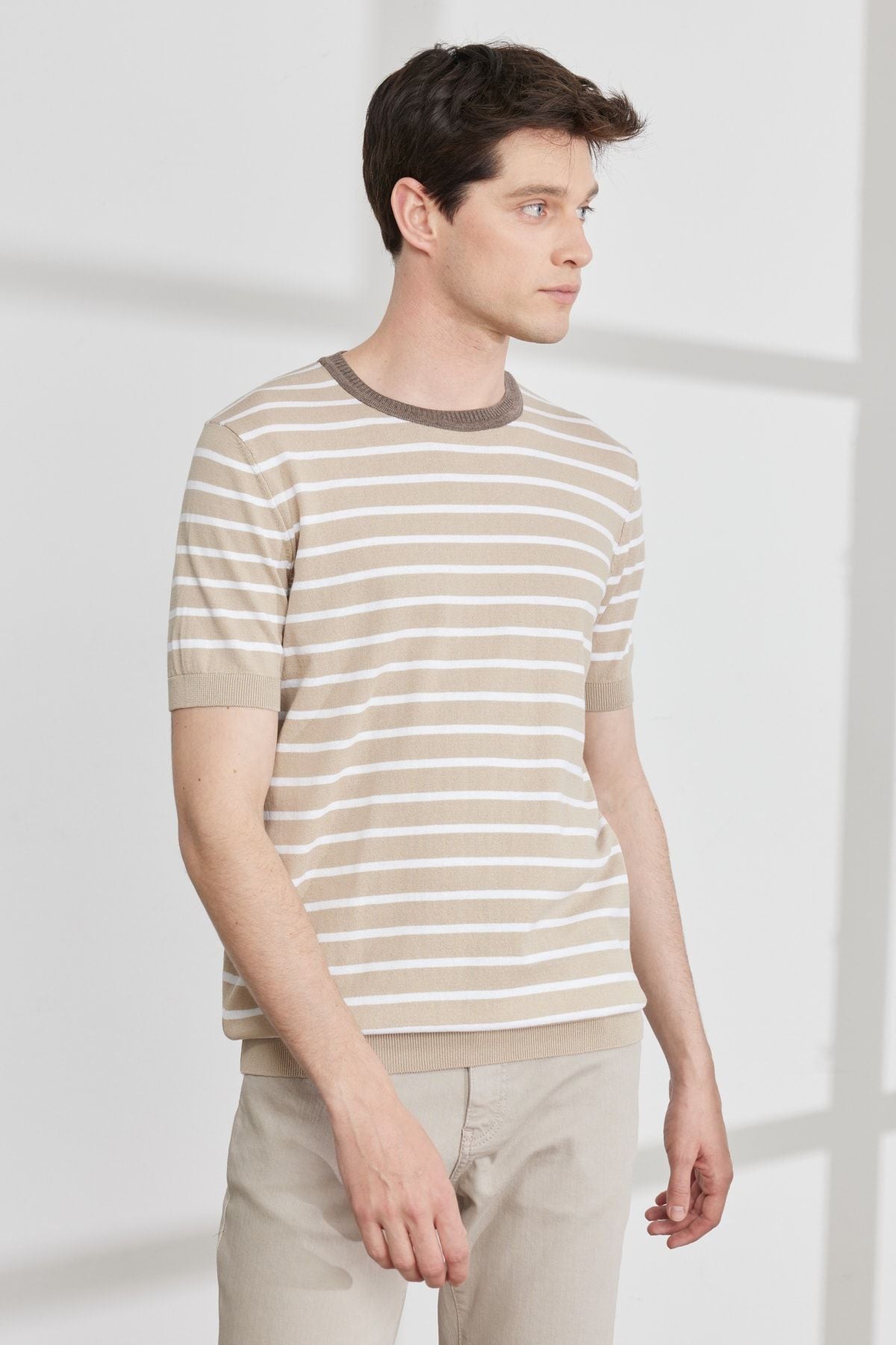 Men's Beige-White standard Fit Normal Normal Cut Bicycle Yaka 100 %Cotton Striped Triko T-shirt