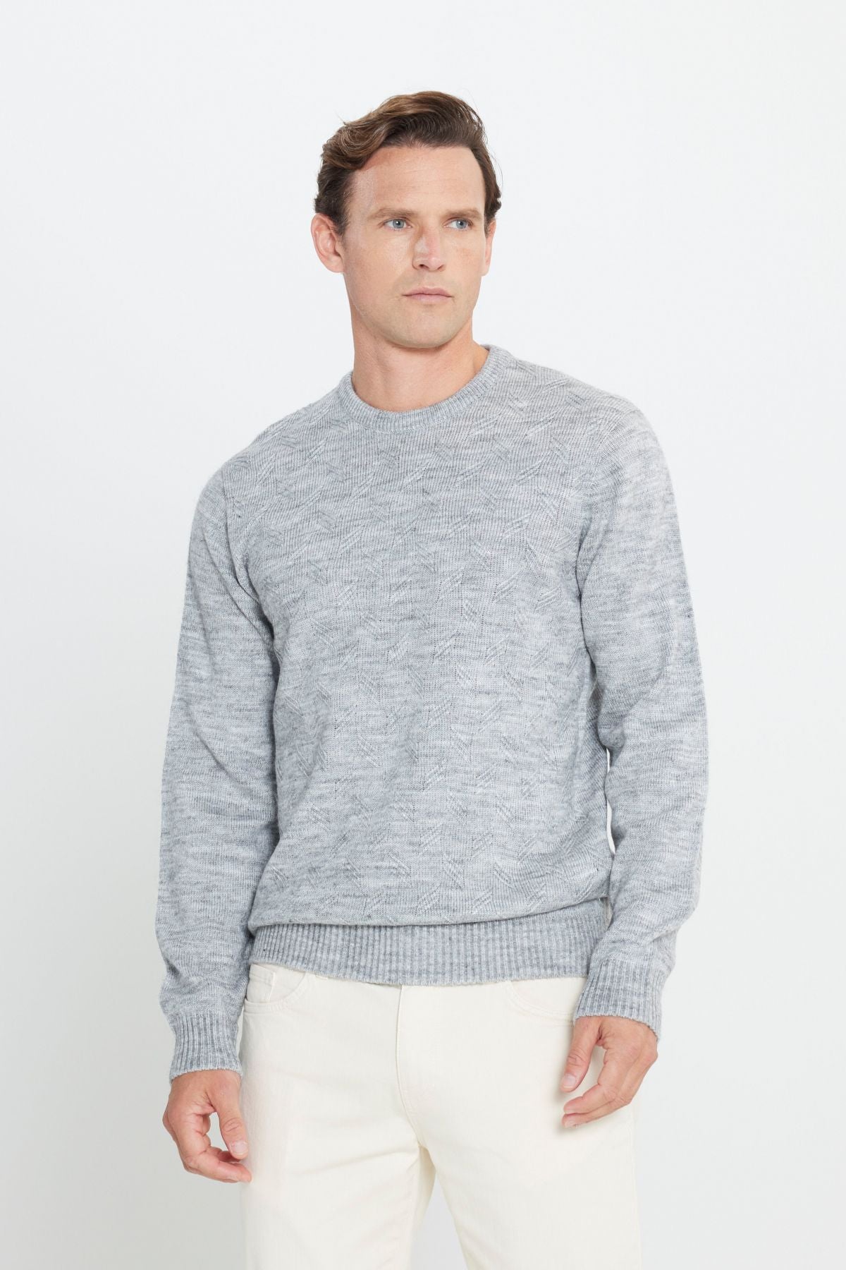 Men's Gray Melanj Standard Fit Normal Cut Bicycle Yaka Jacquard Knitwear Sweater