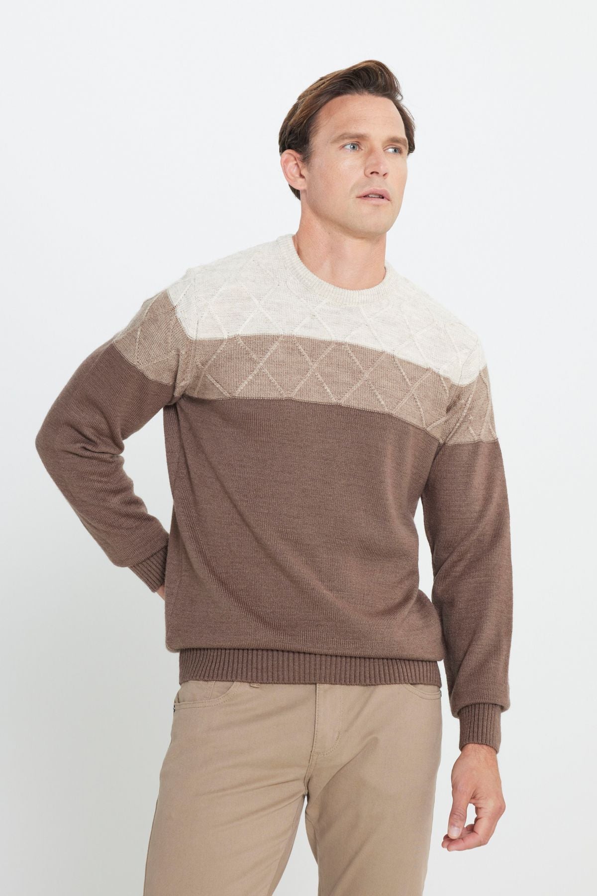 Men's Beige-Kahve Standard Fit Normal Cut Cycling Bike Colorblock Patterned Knitwear Kazakh