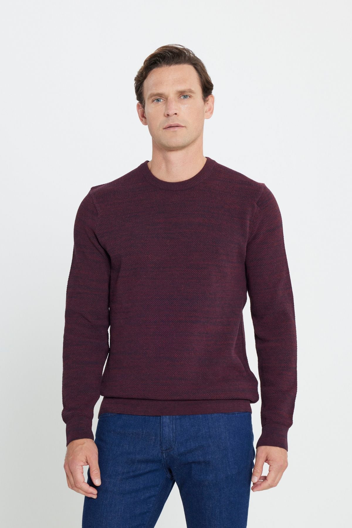 Men's Bordeaux-Lacivert Standard Fit Normal Cut Bike Bike Patterned Knitwear Sweater