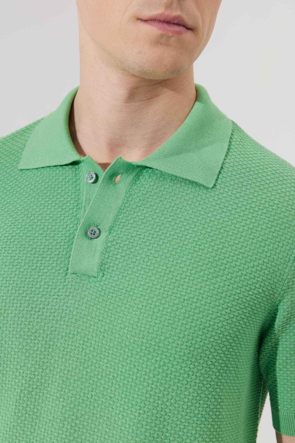 Men's Green Standard Fit Normal Cut Polo Yaka 100 %Cotton Short Sleeve Triko T -shirt