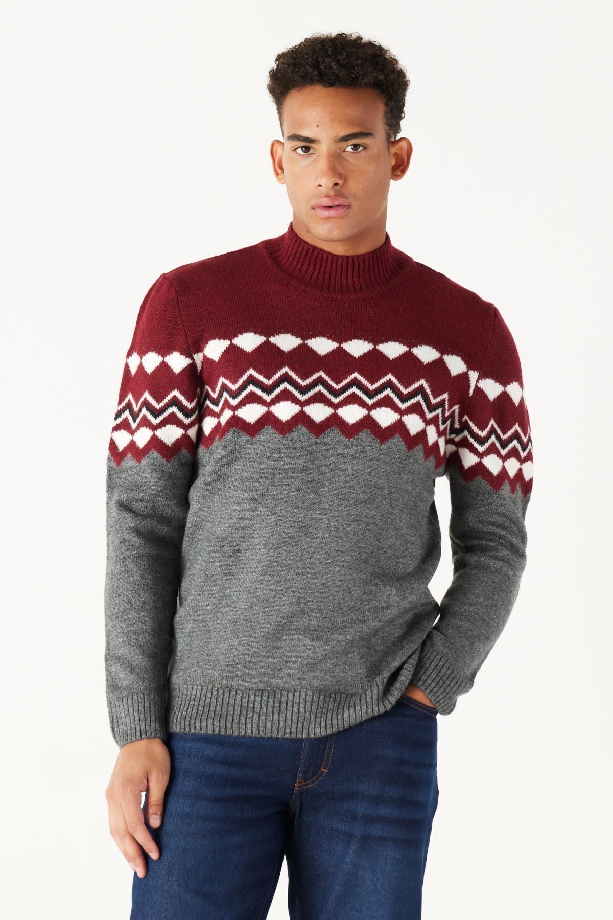 Men's Bordeaux Cleaper Standard Fit Half Fisherman Neckline Soft textured knitwear sweater