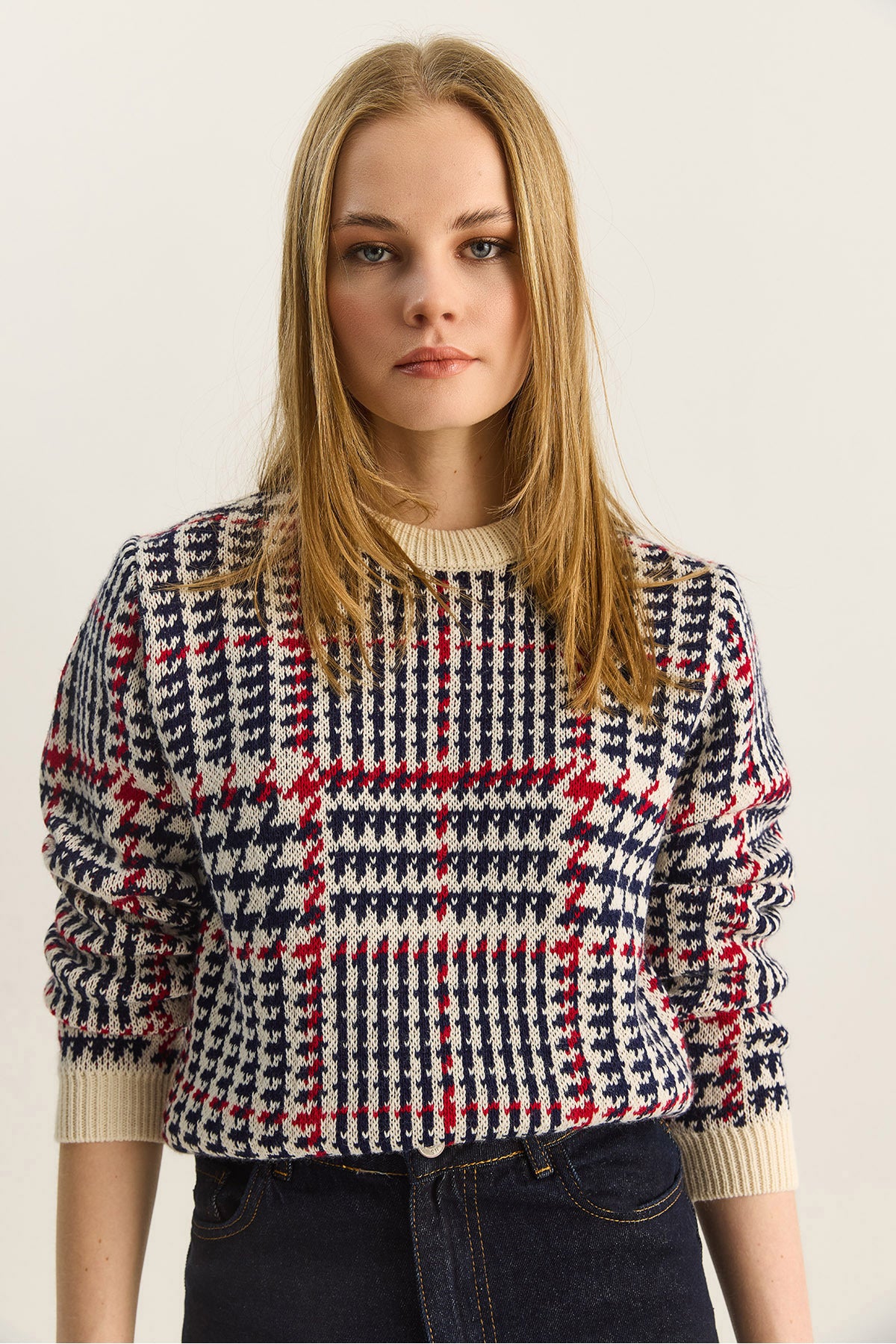 Women's Crew Neck Houndstooth Patterned Knitwear Sweater 20251122