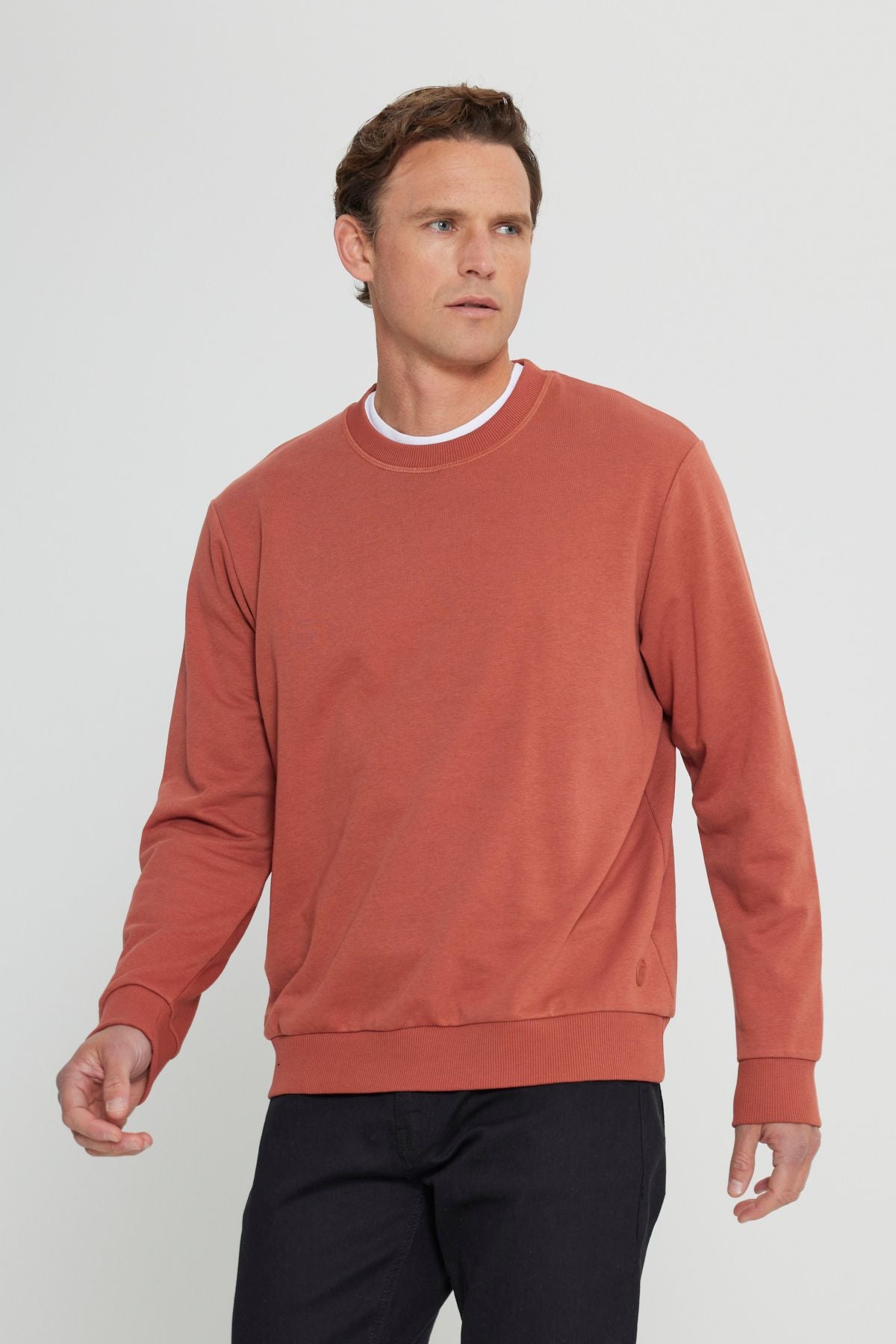 Men's Light Coffee Standard Fit Normal Cut Normal Class Bike 3 IP Cotton Sweatshirt
