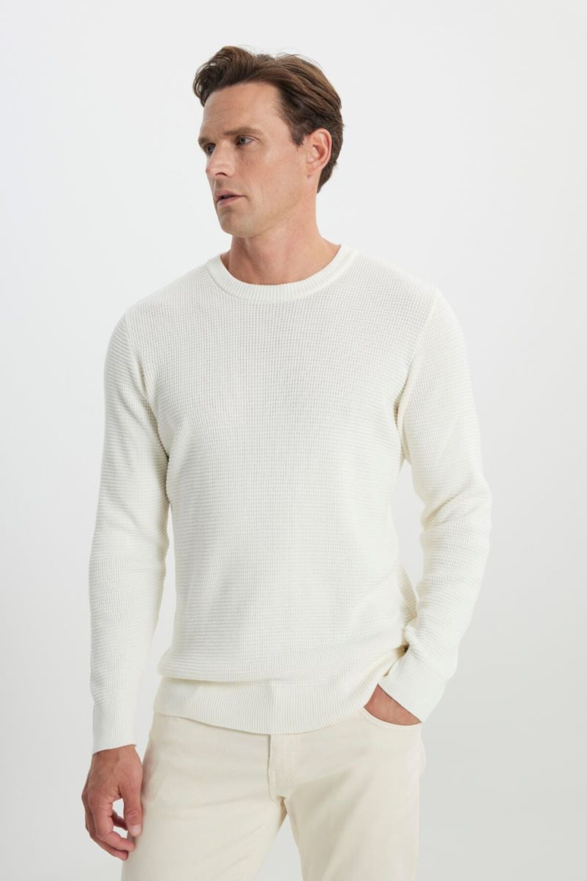 Cotton Standard Fit Normal Normal Cut Bike Neck Honeycomb textured knitwear Ecru sweater