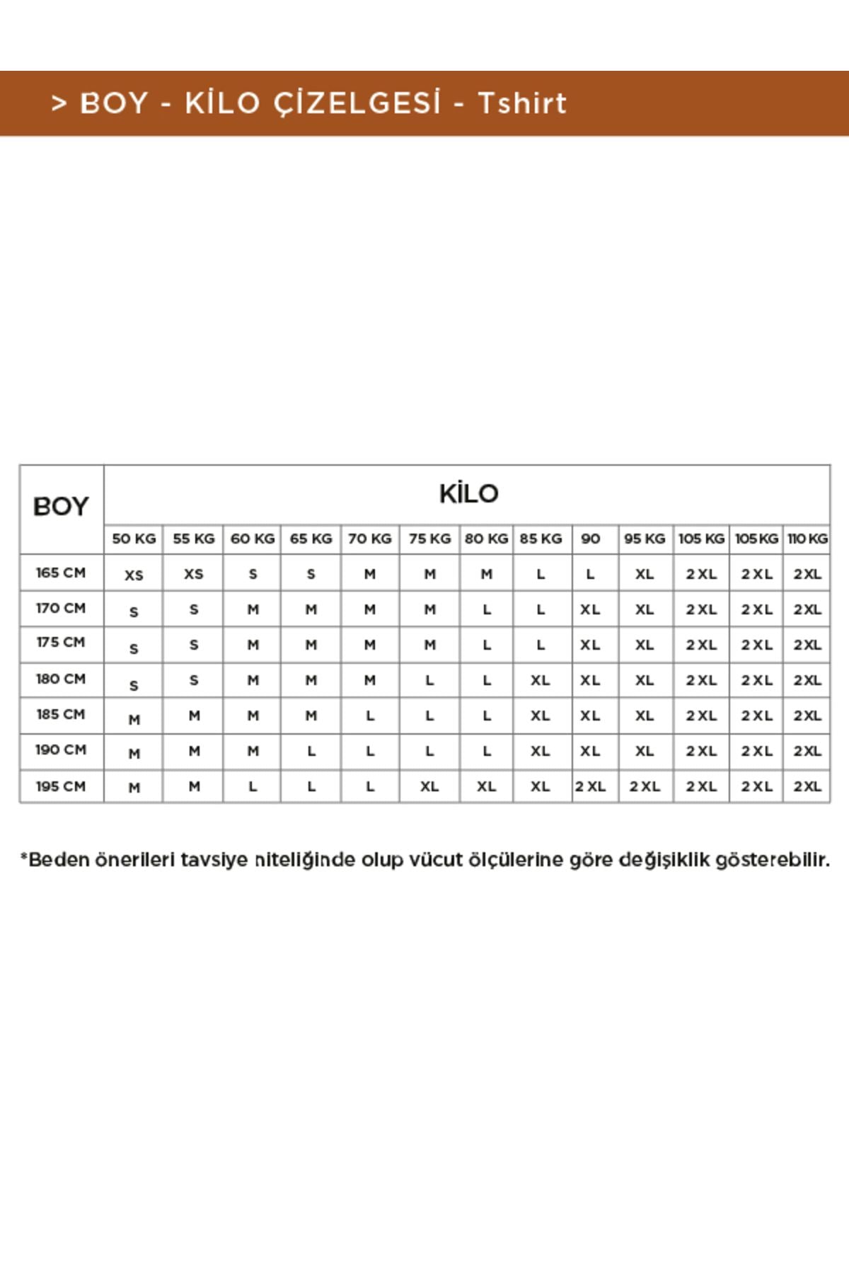 Ανδρικό T-shirt Polo Yaka 100% Cool Regular Fit E001004