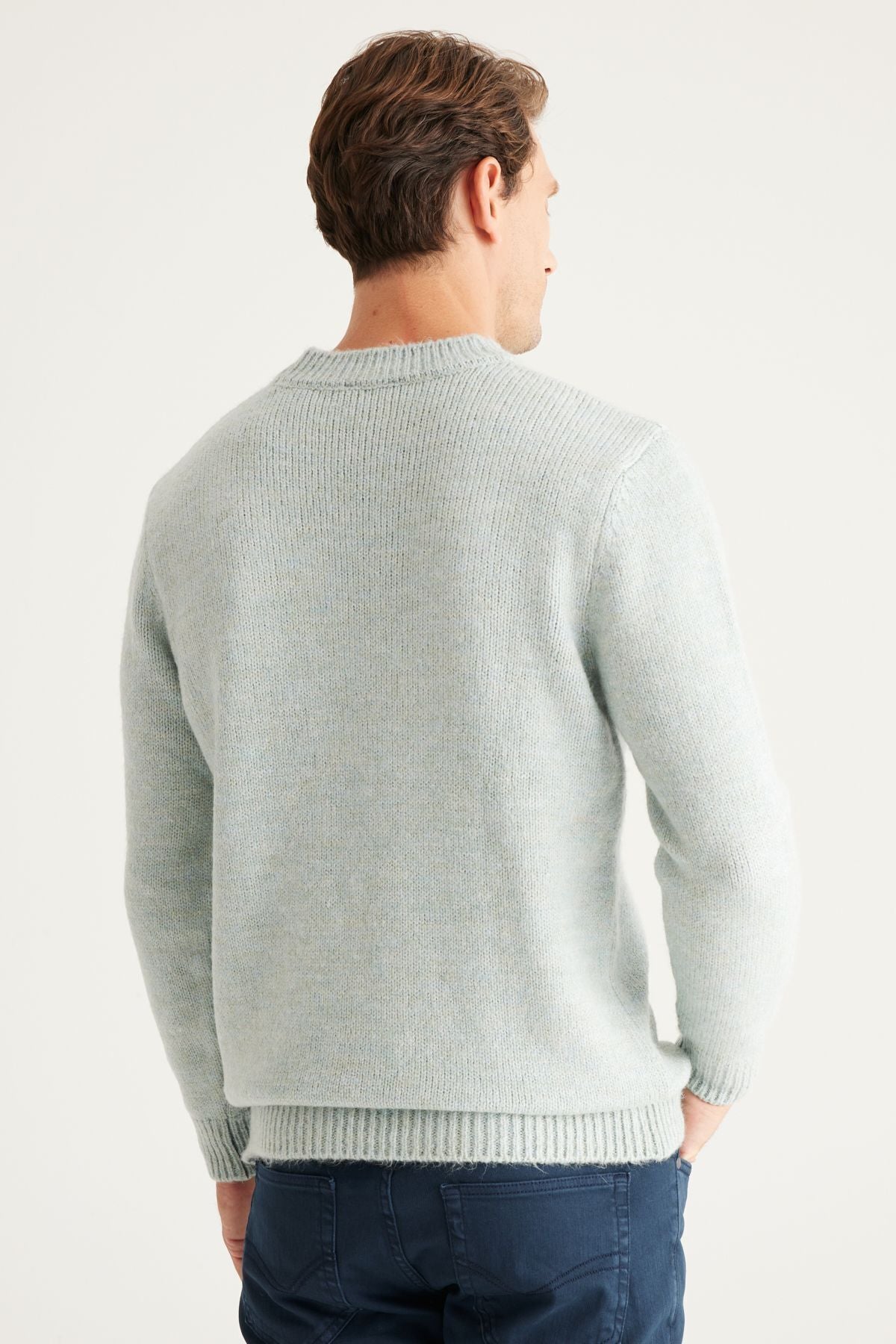 Men's Light Green Standard Fit Normal Cut Normal Class Bicycle Collar Soft textured knitwear sweater