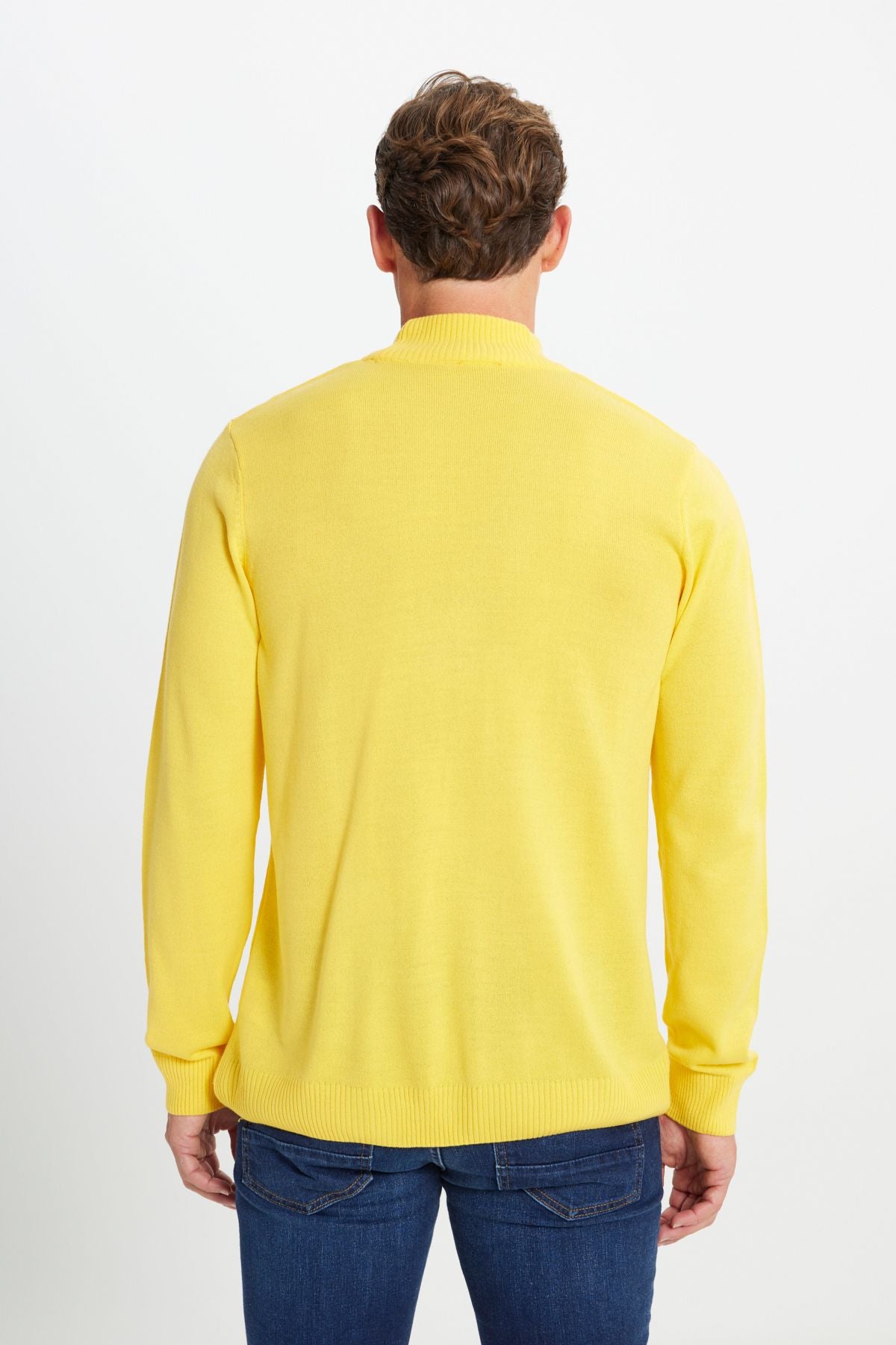 Men's yellow hair growth standard fit normal cut half fisherman collar knitwear sweater